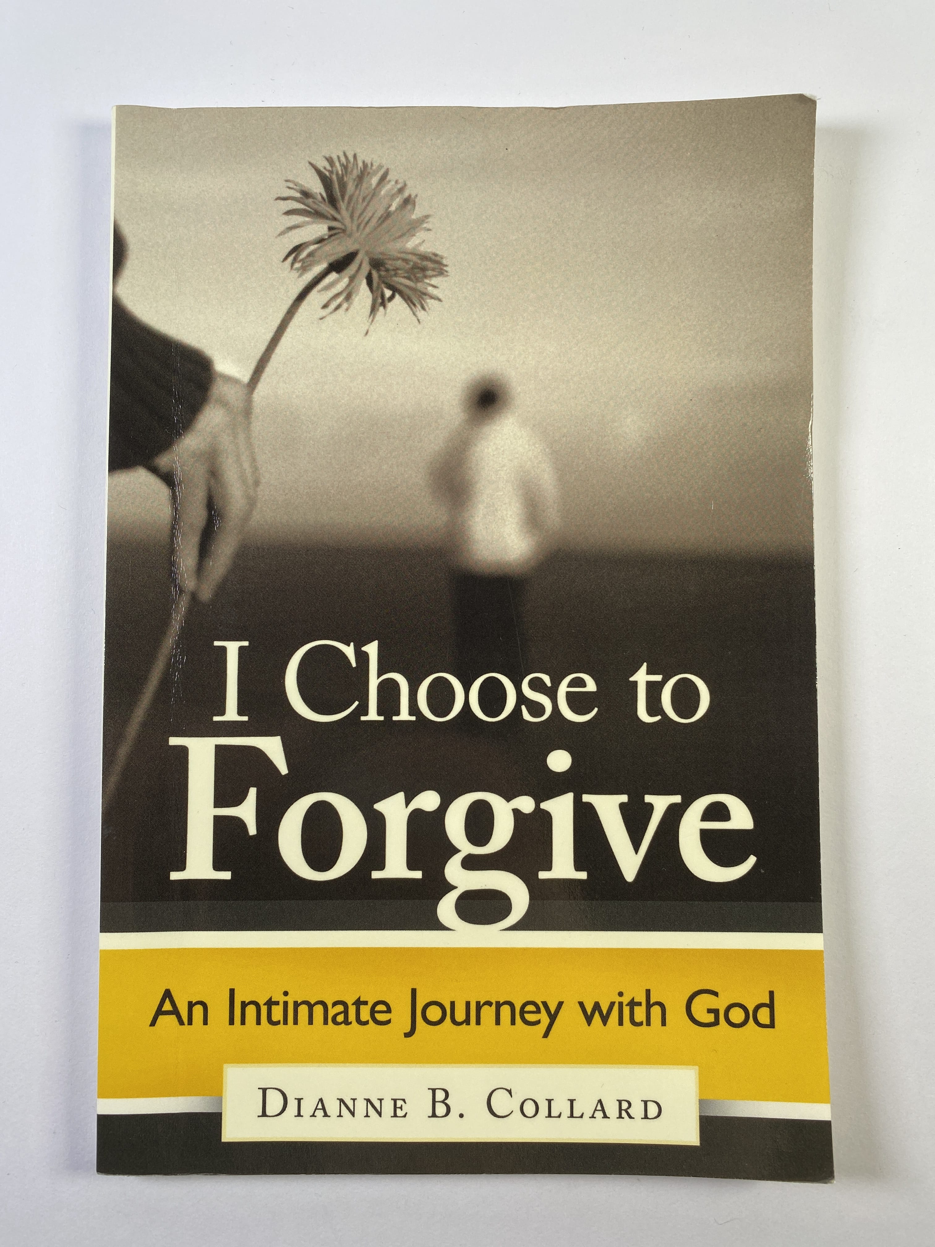 Levně I Choose to Forgive