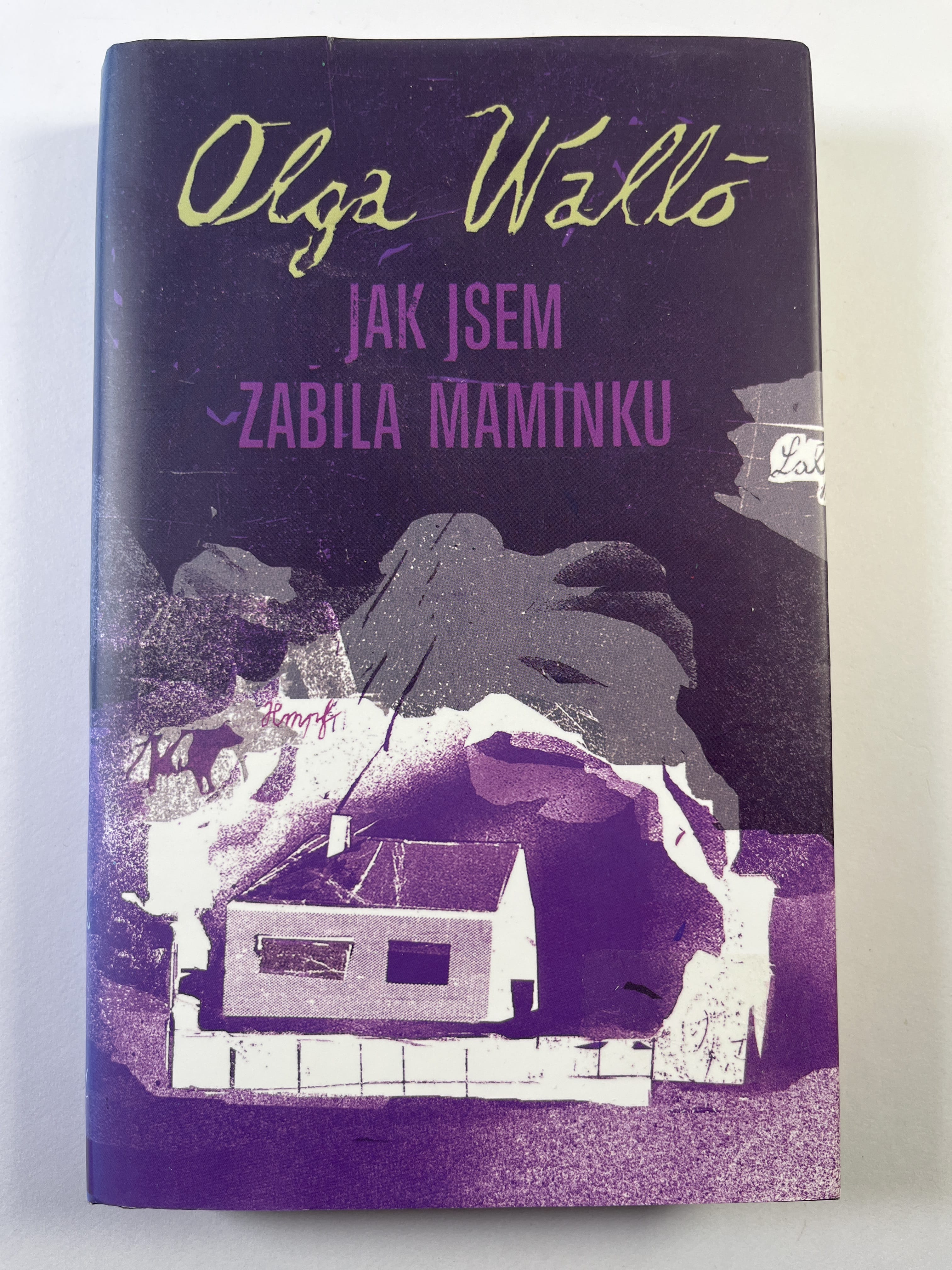 Jak jsem zabila maminku