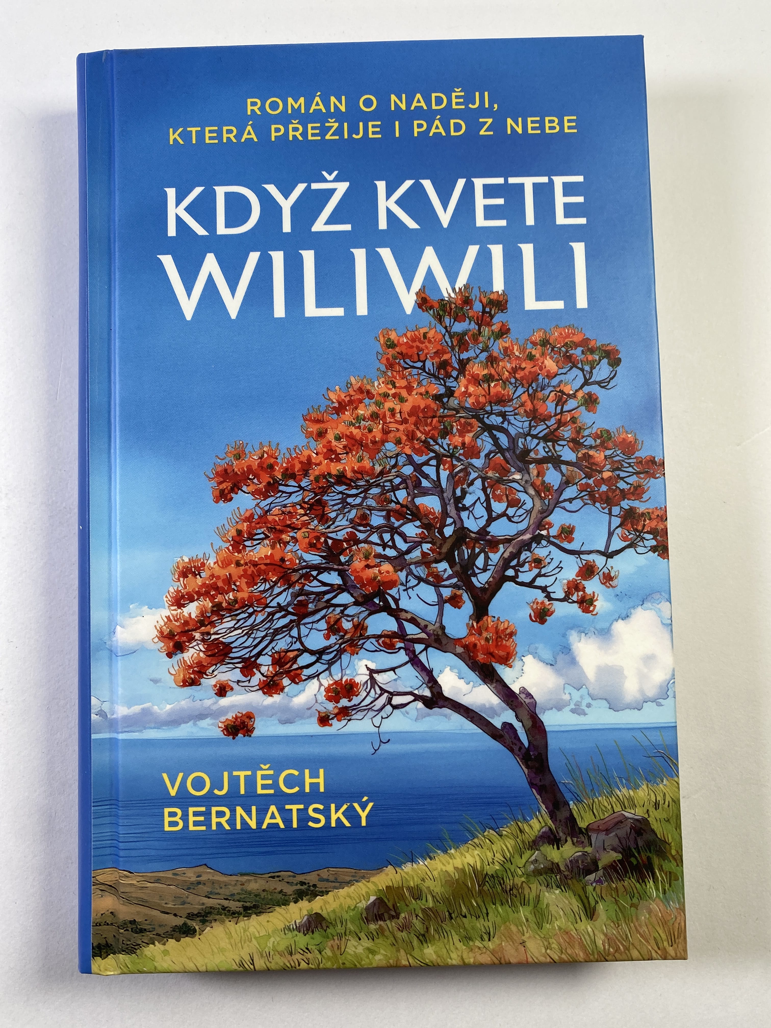 Levně Když kvete Wiliwili