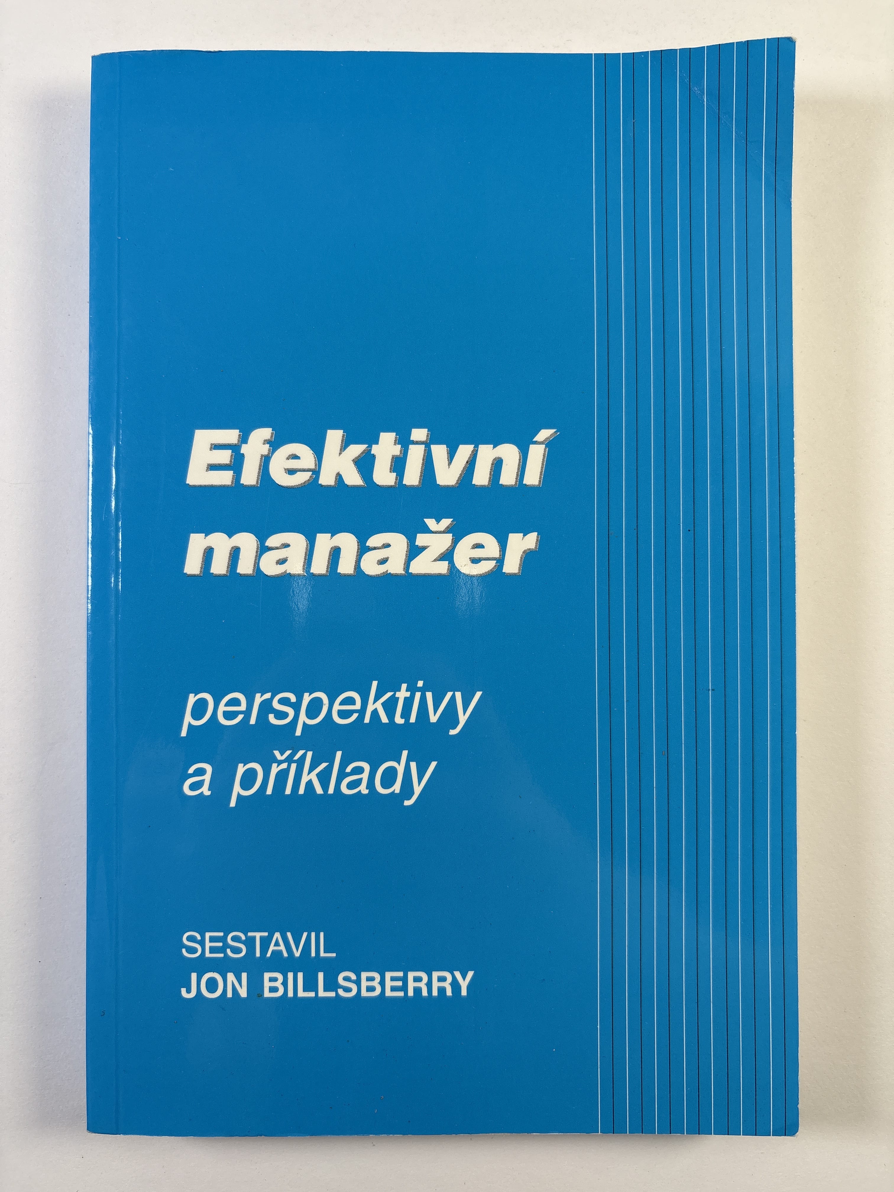 Levně Efektivní manažer: Perspektivy a příklady