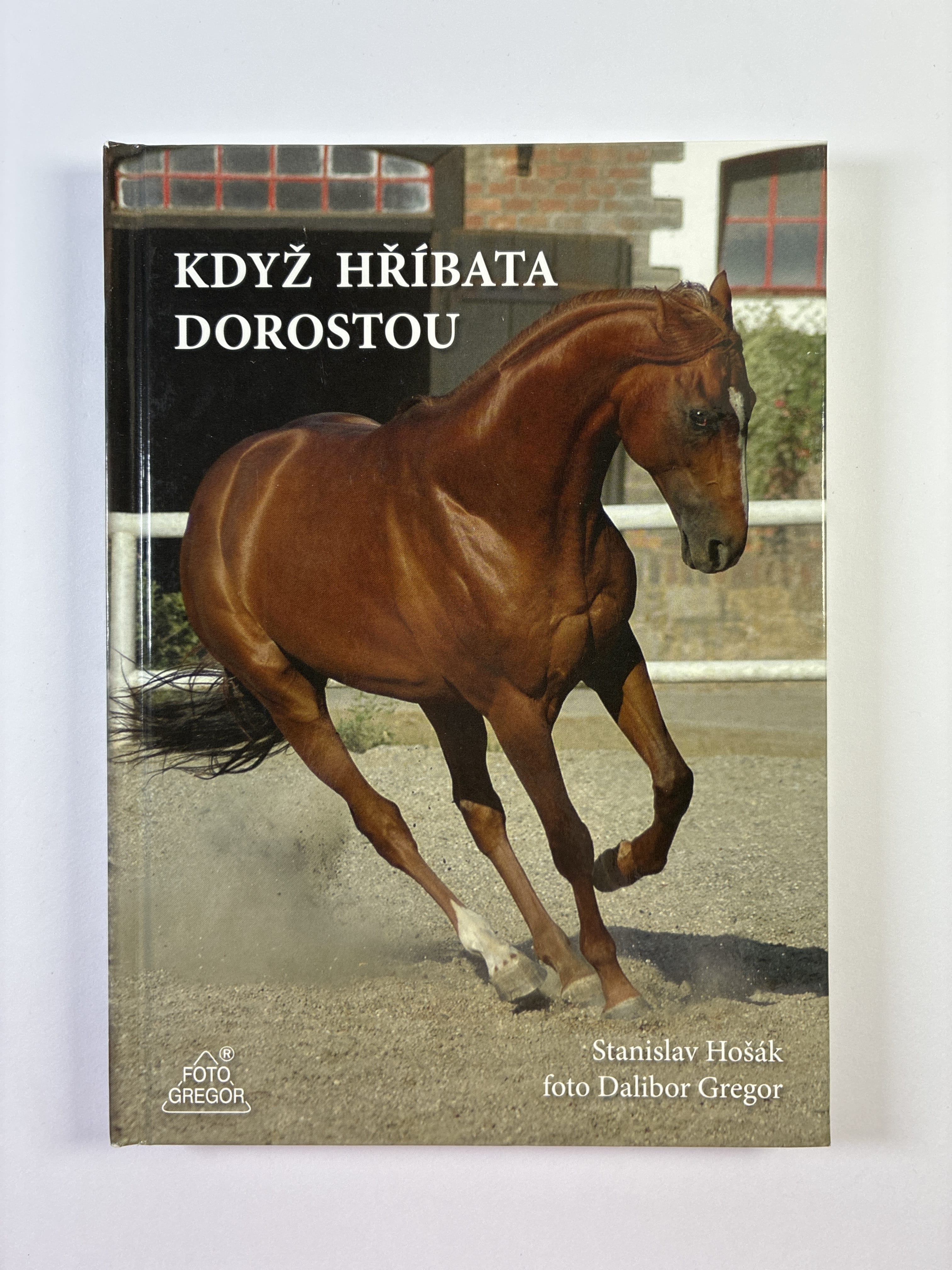 Levně Když hříbata dorostou