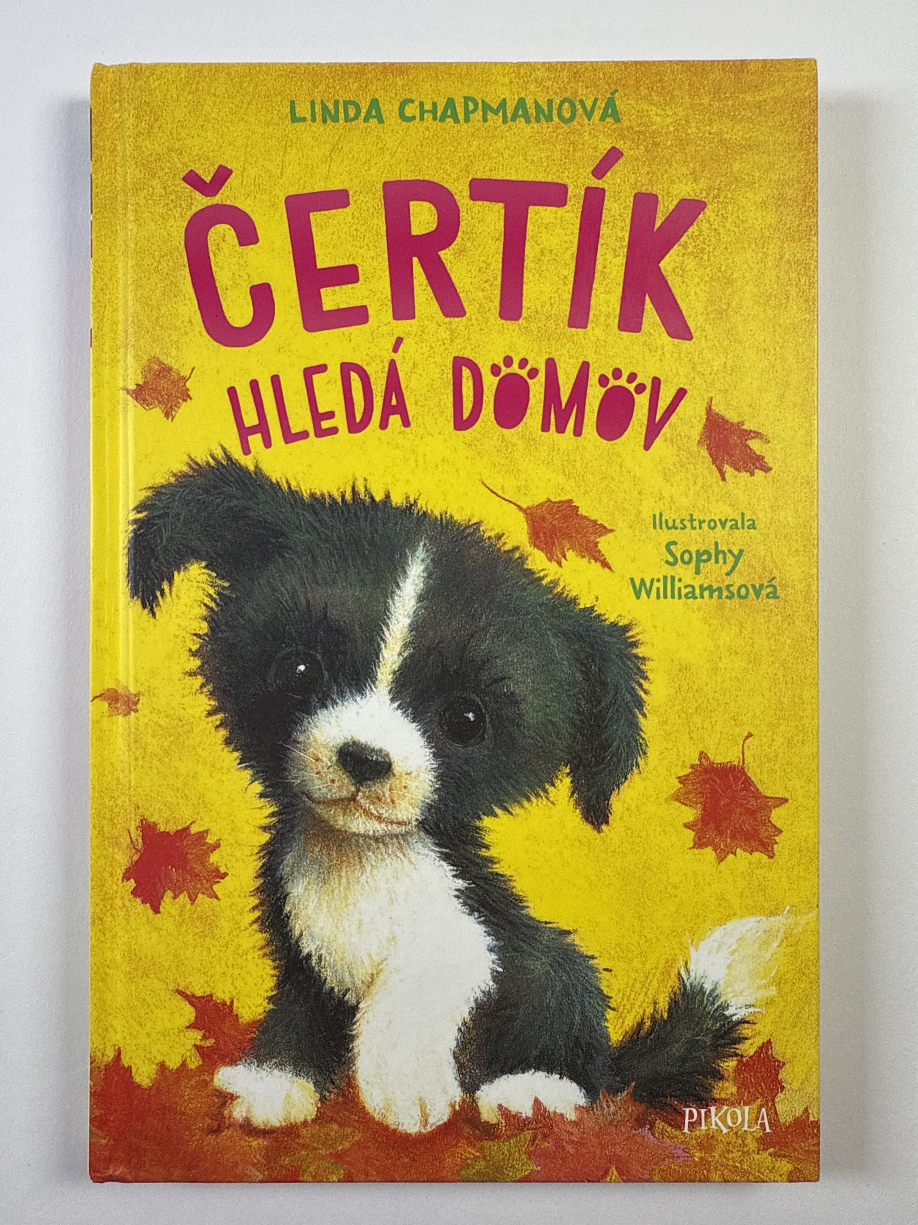 Levně Čertík hledá domov