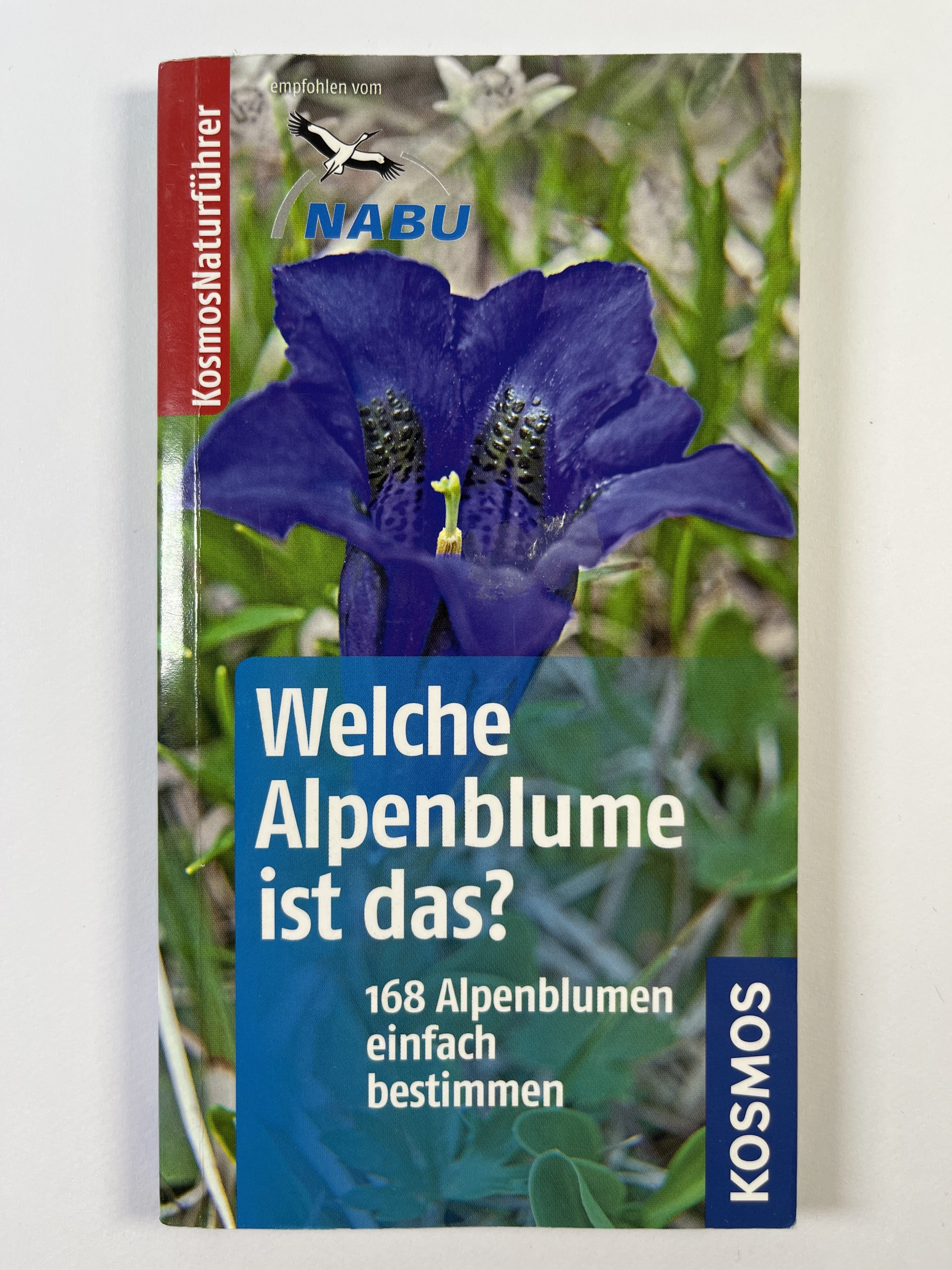 Levně Welche Alpenblume ist das?