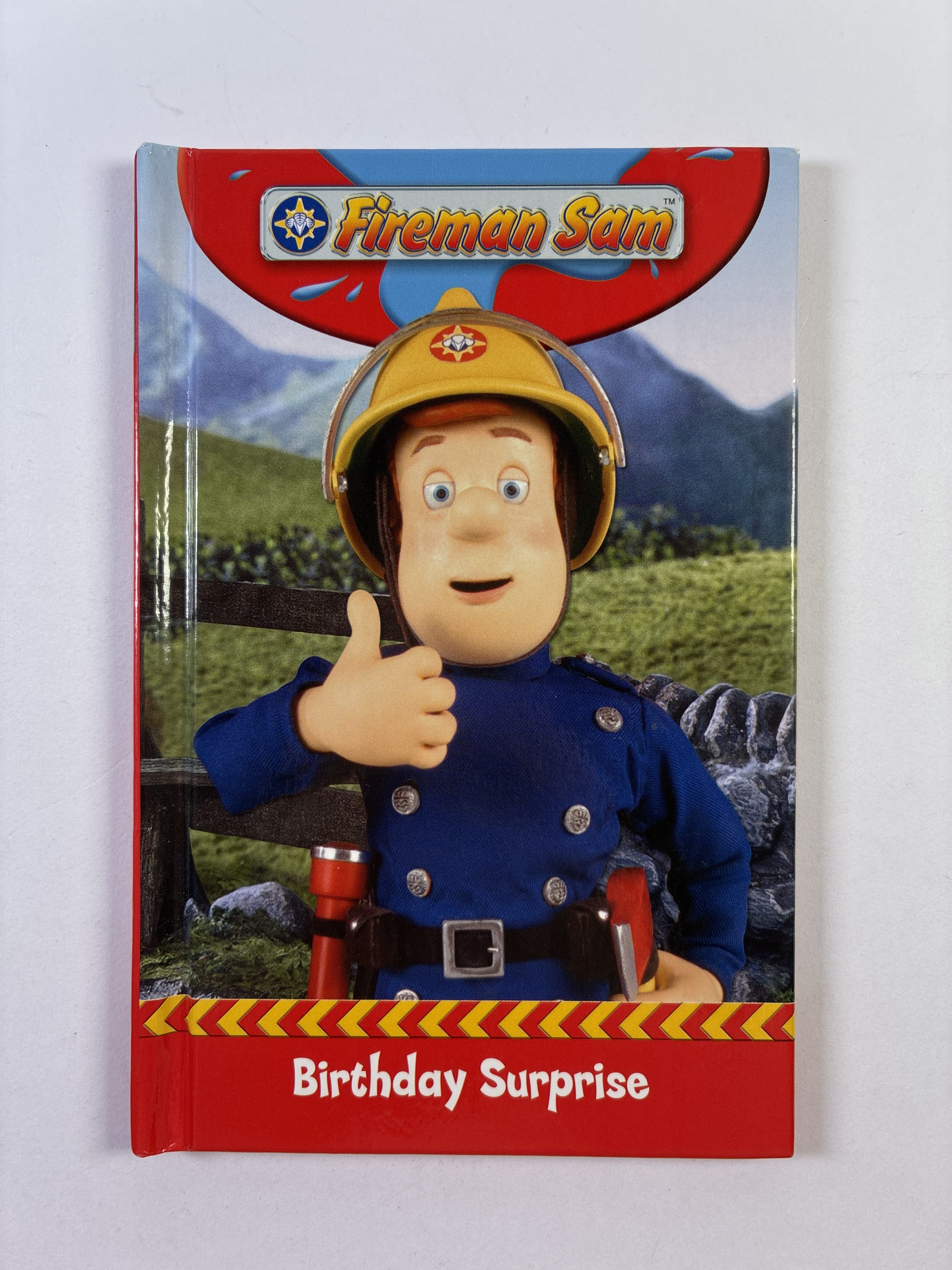 Levně Fireman Sam: Birthday Surprise