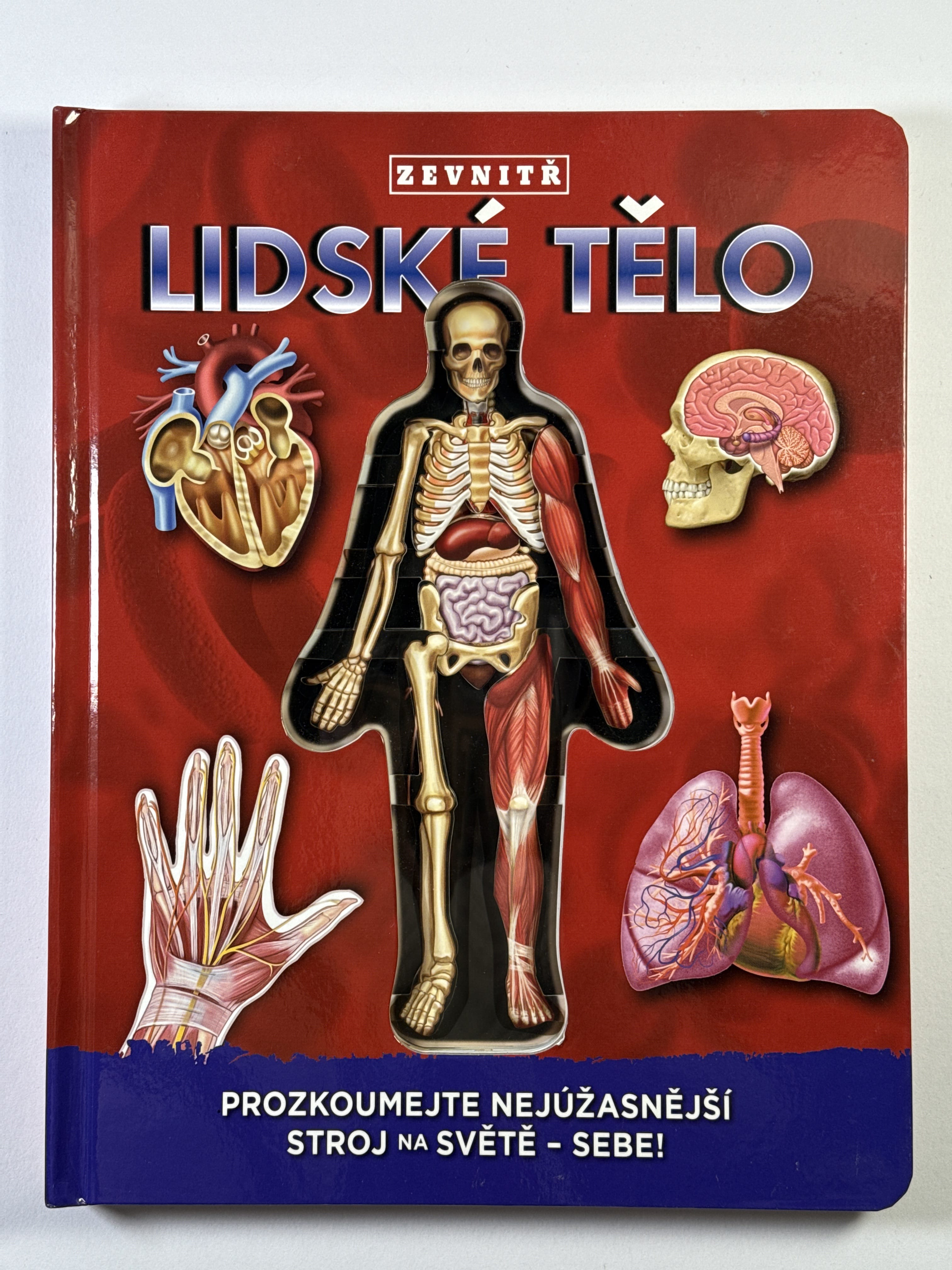 Lidské tělo zevnitř