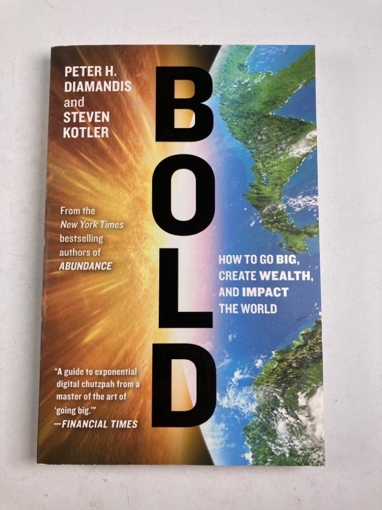 Levně Bold: How to Go Big, Create Wealth and Impact the World Měkká (2016)