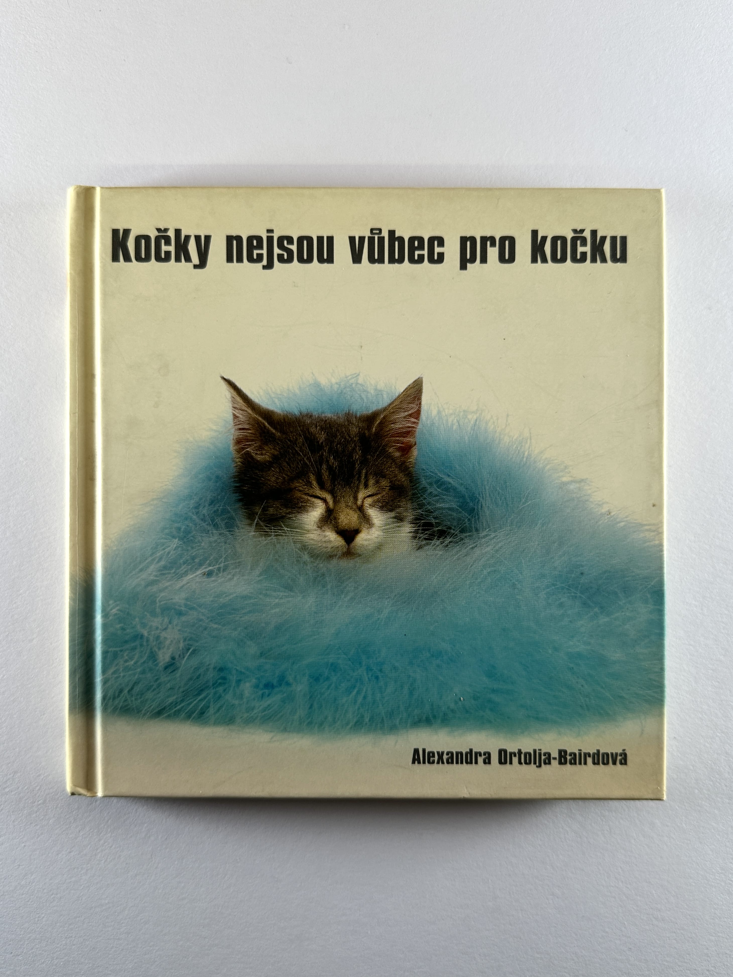 Kočky nejsou vůbec pro kočku