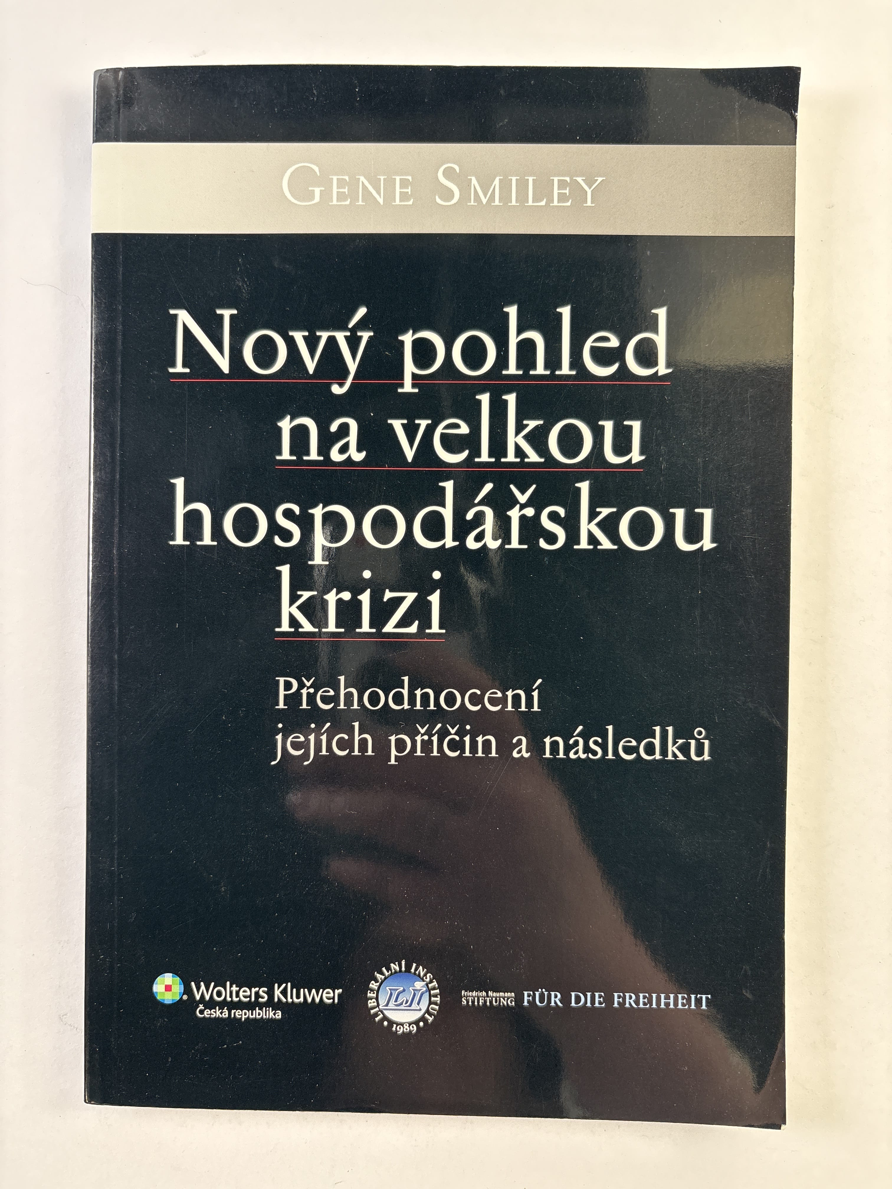 Levně Nový pohled na velkou hospodářskou krizi: přehodnocení jejích příčin a následků