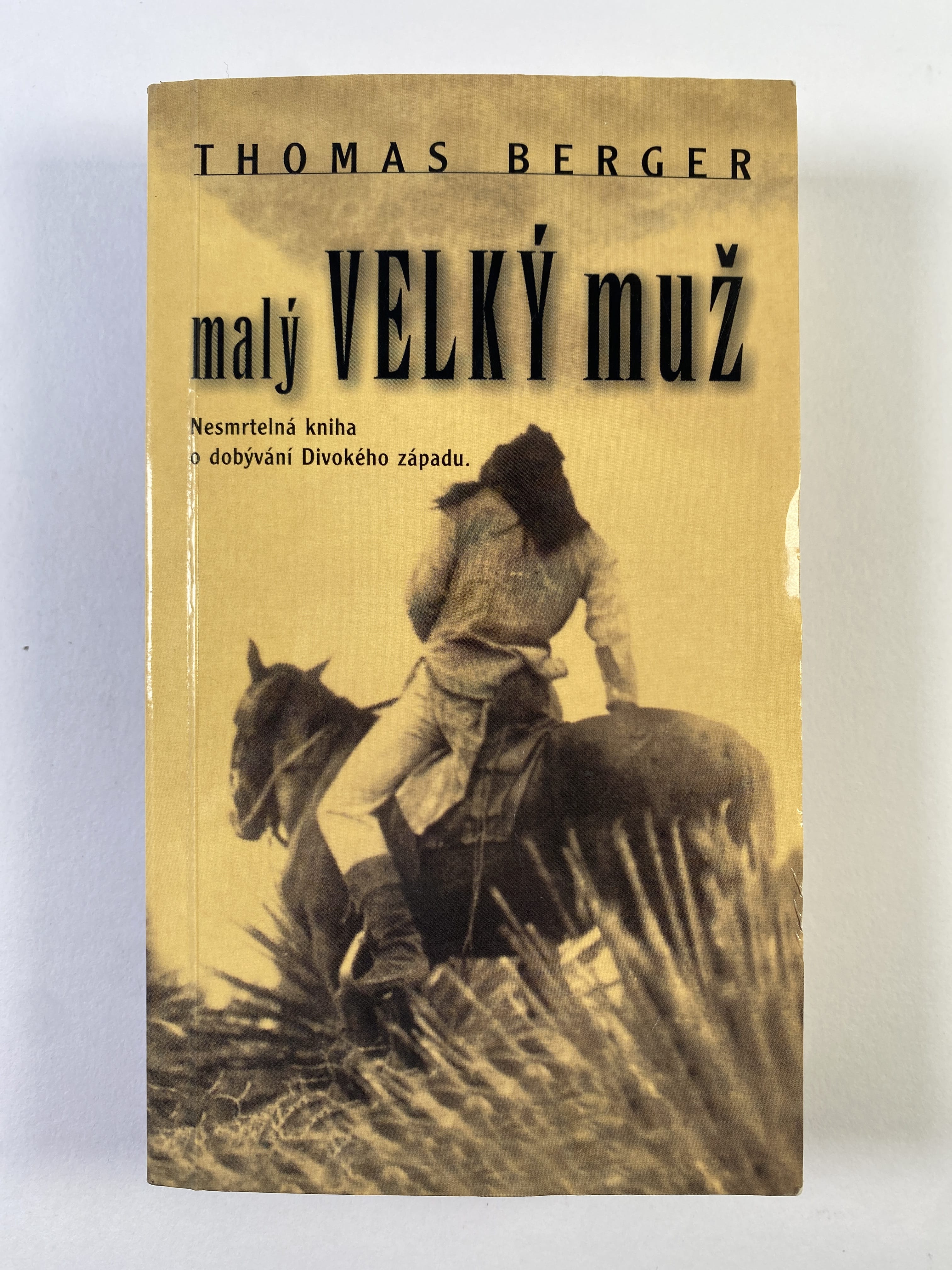 Levně Malý Velký muž Měkká 2001