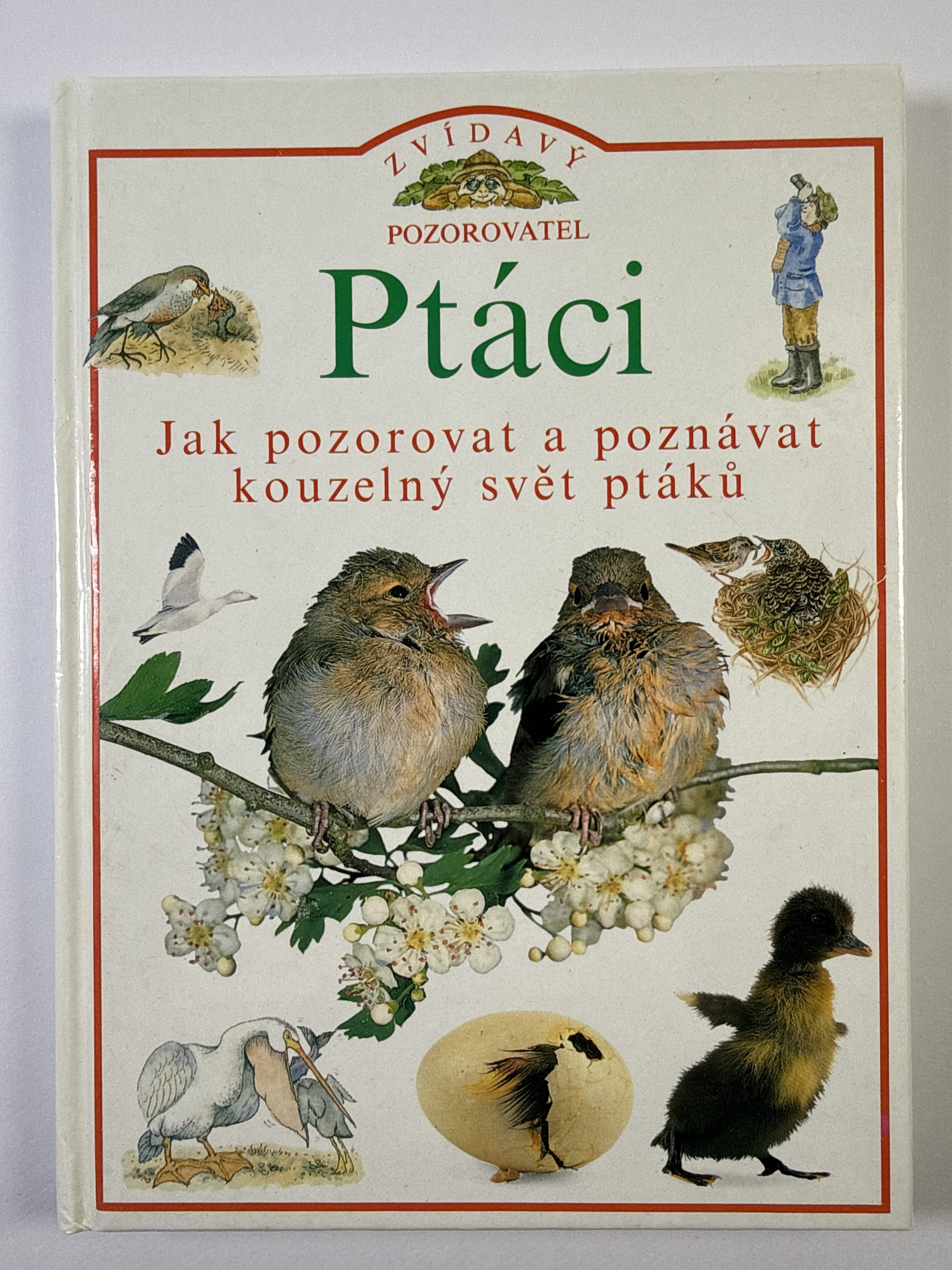 Levně Ptáci: Jak pozorovat a poznávat kouzelný svět ptáků