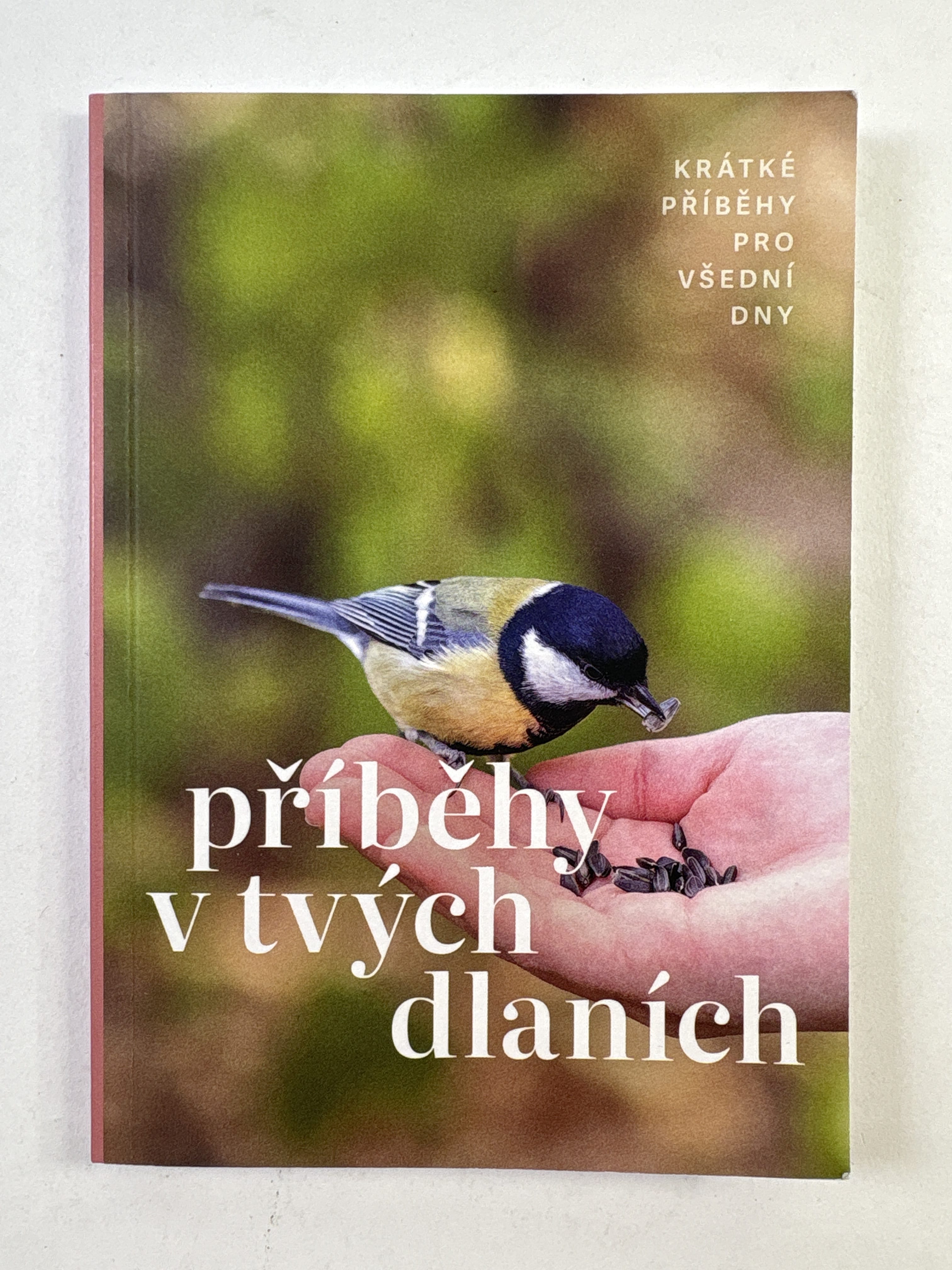 Příběhy v tvých dlaních