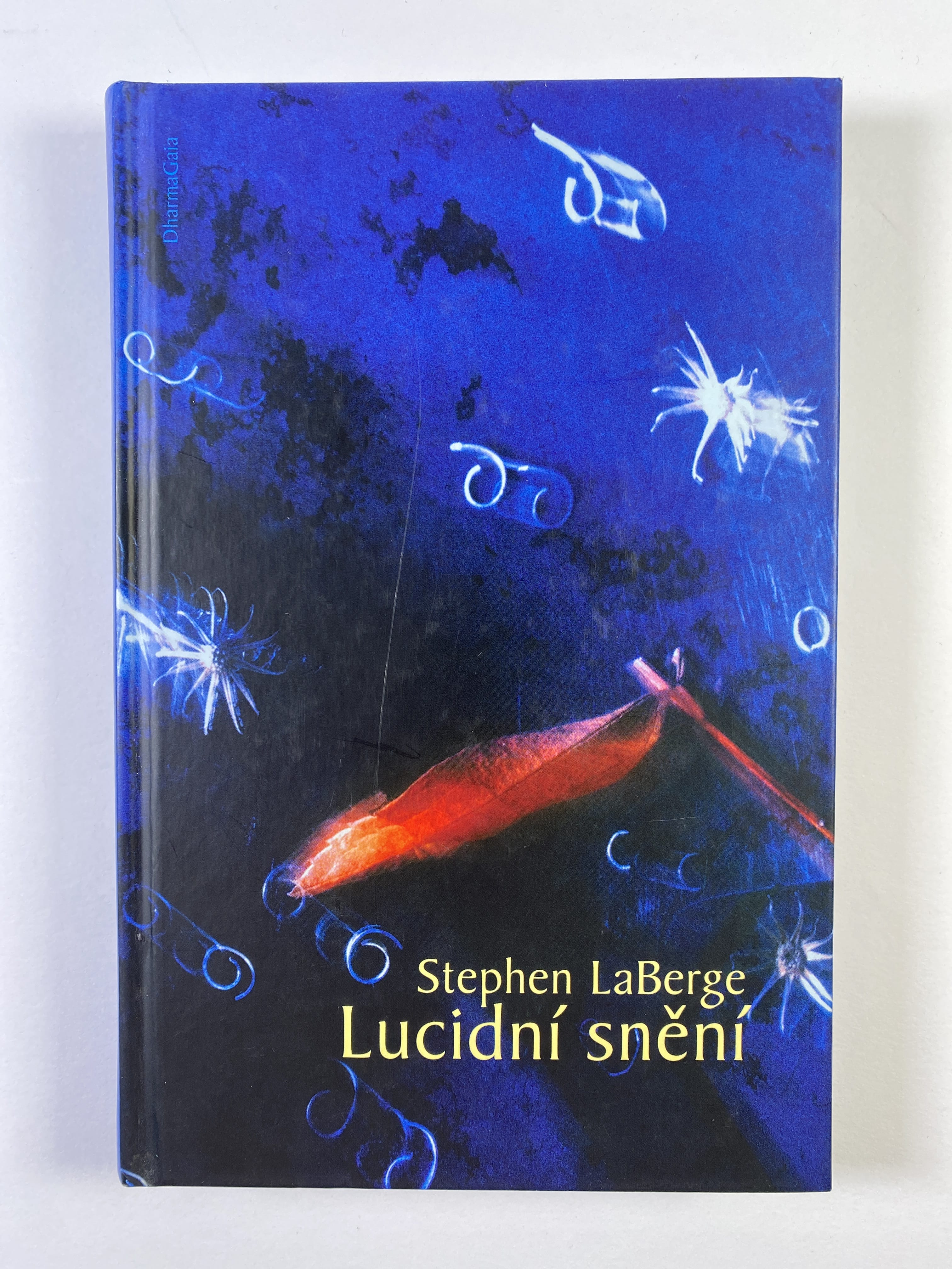 Levně Lucidní snění Pevná (2006)