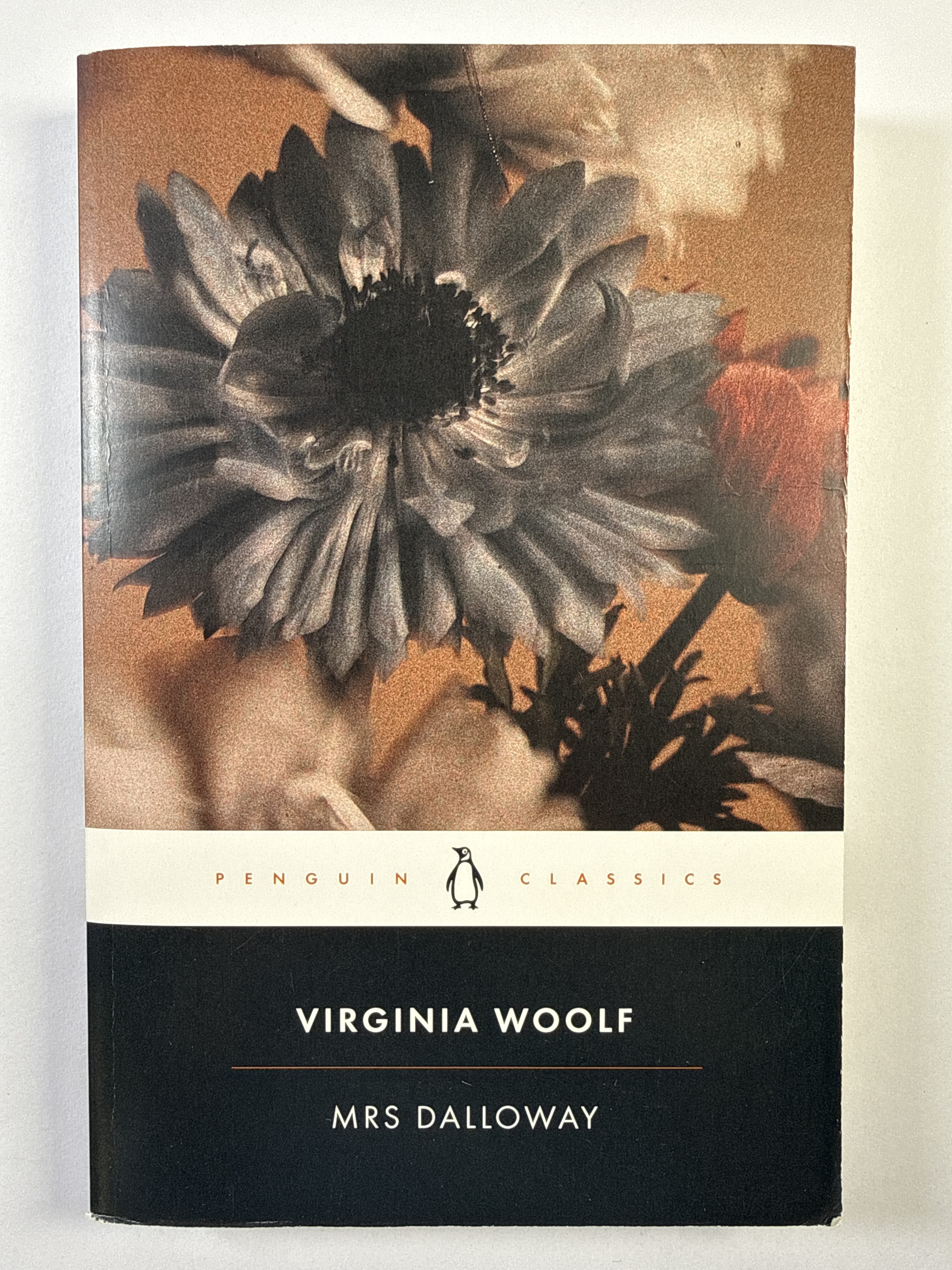 Levně Mrs. Dalloway Měkká 2019