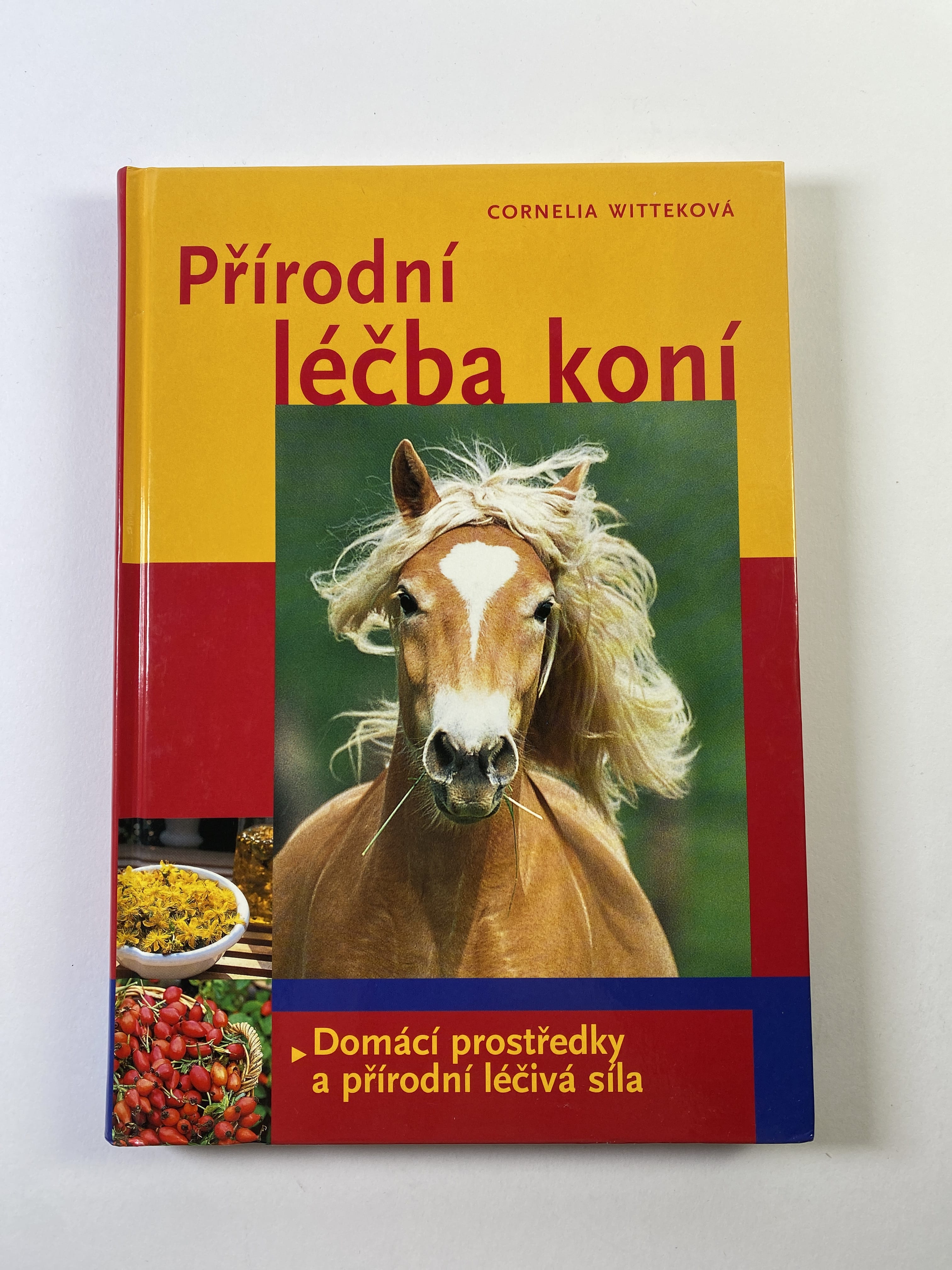 Levně Přírodní léčba koní