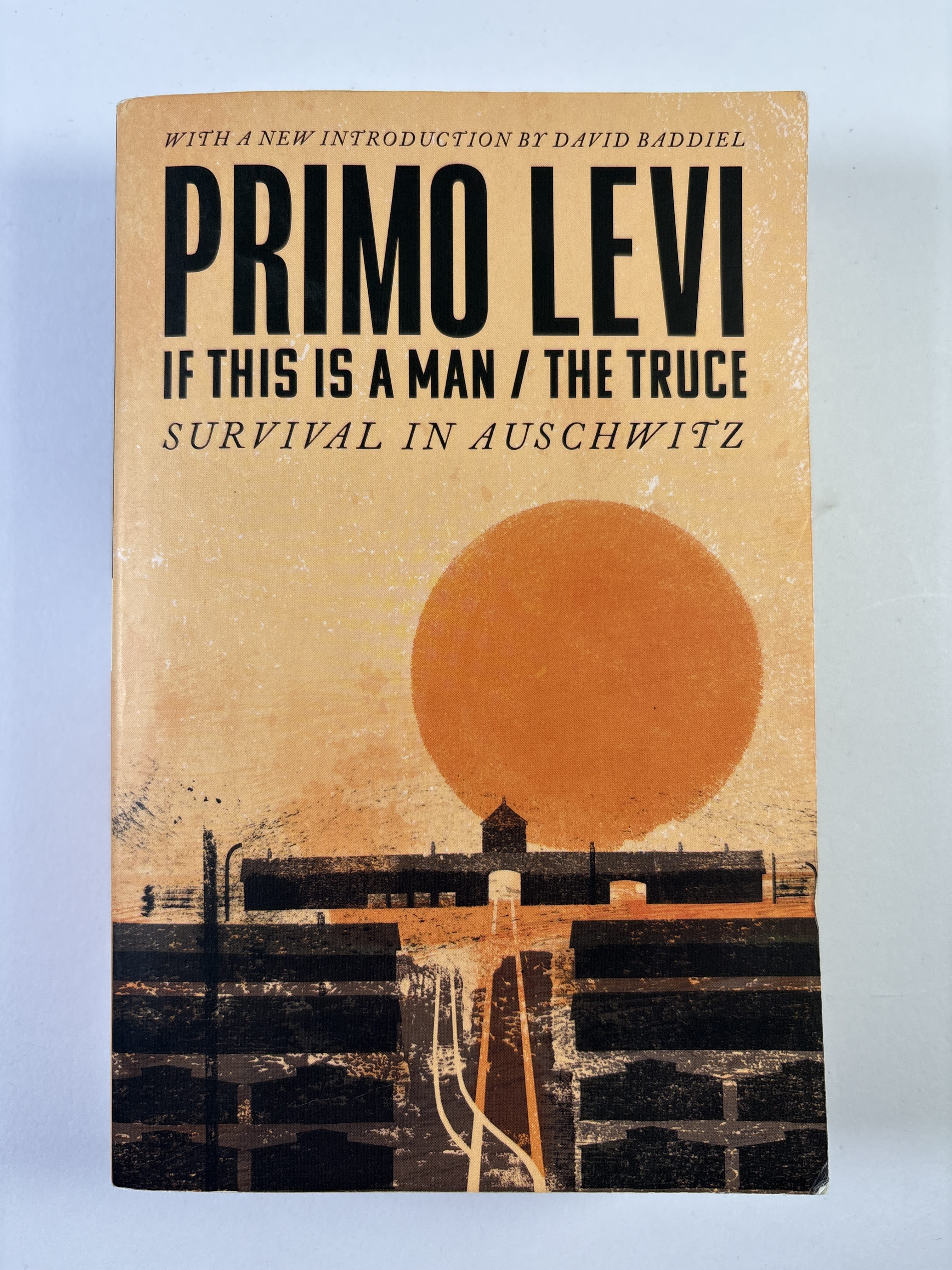 Levně If This Is A Man / The Truce