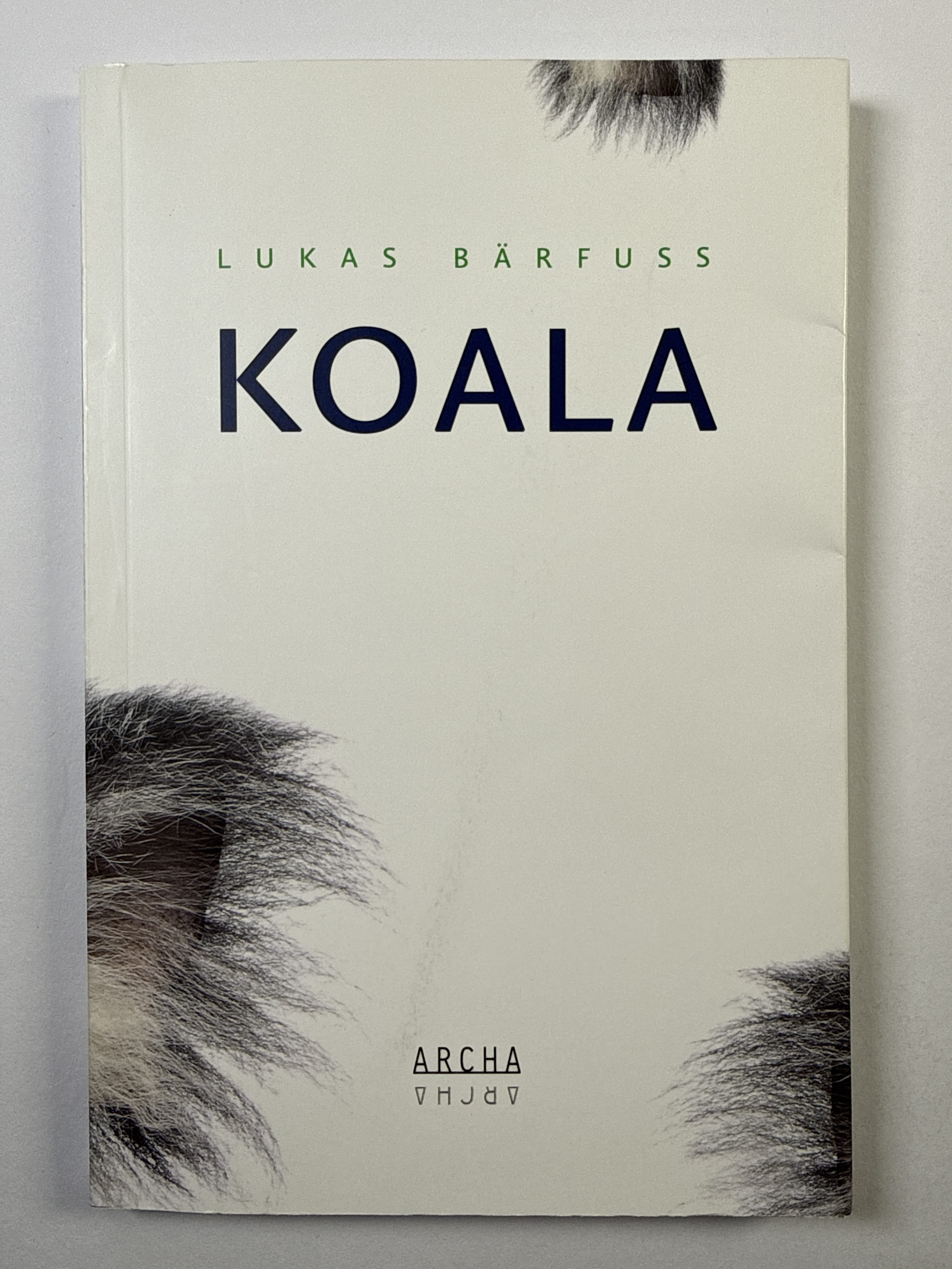 Koala
