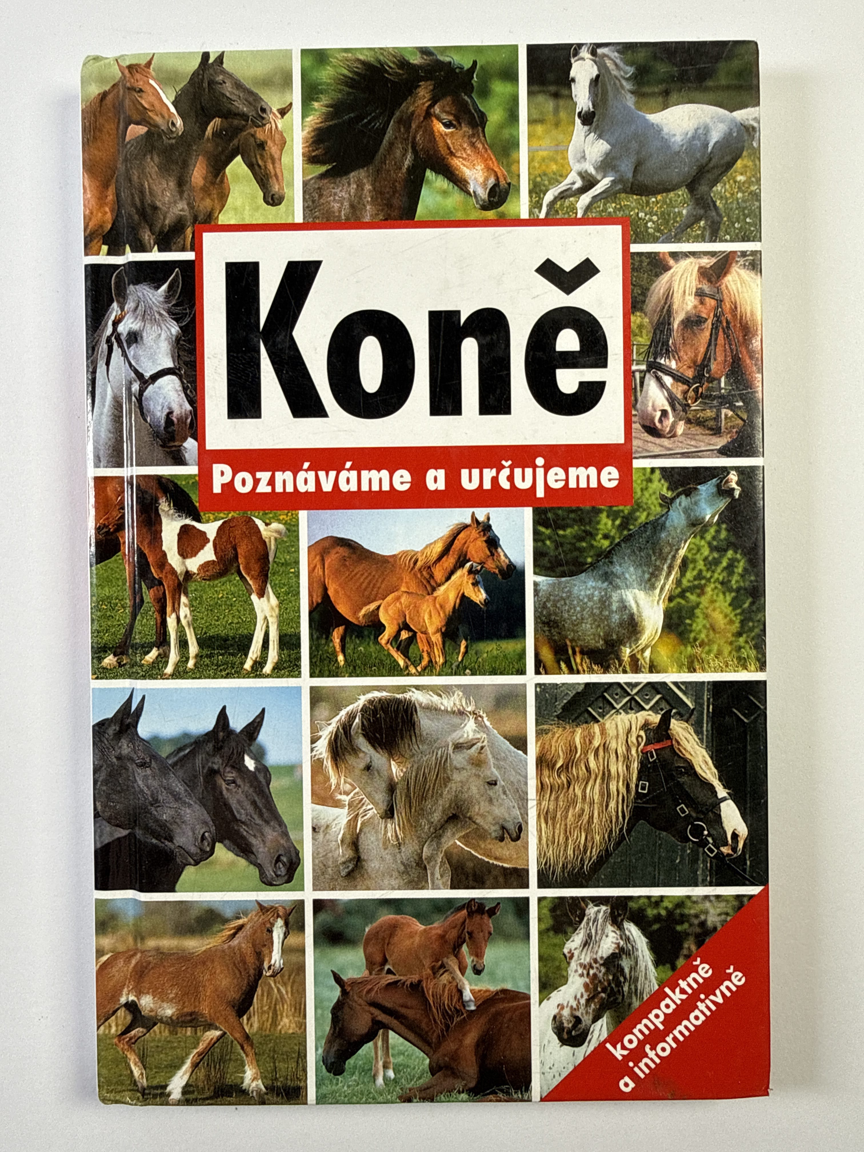 Levně Kočky: poznáváme a určujeme Pevná (rok neuveden)