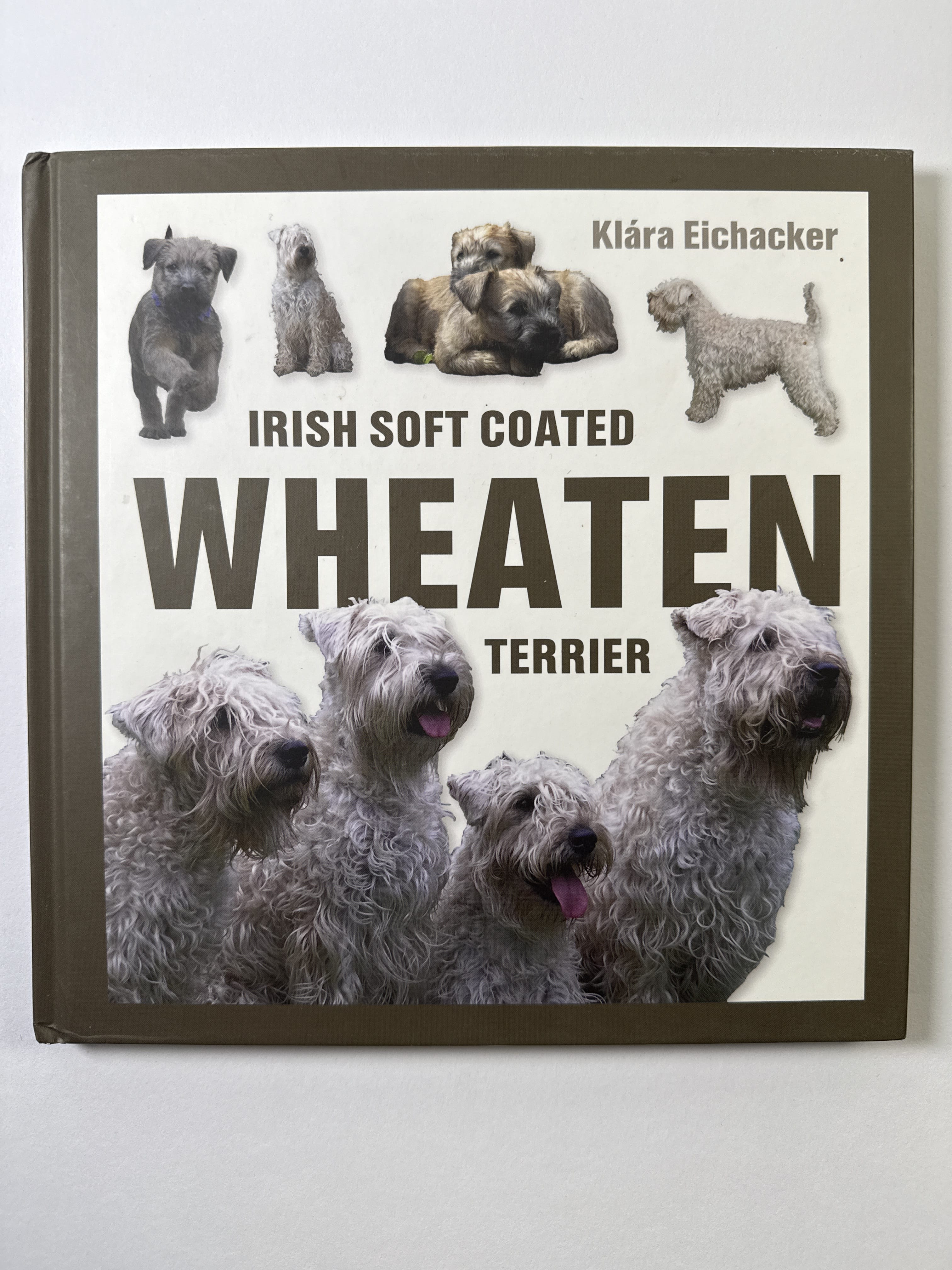 Levně Irish Soft Coated Wheaten Terrier