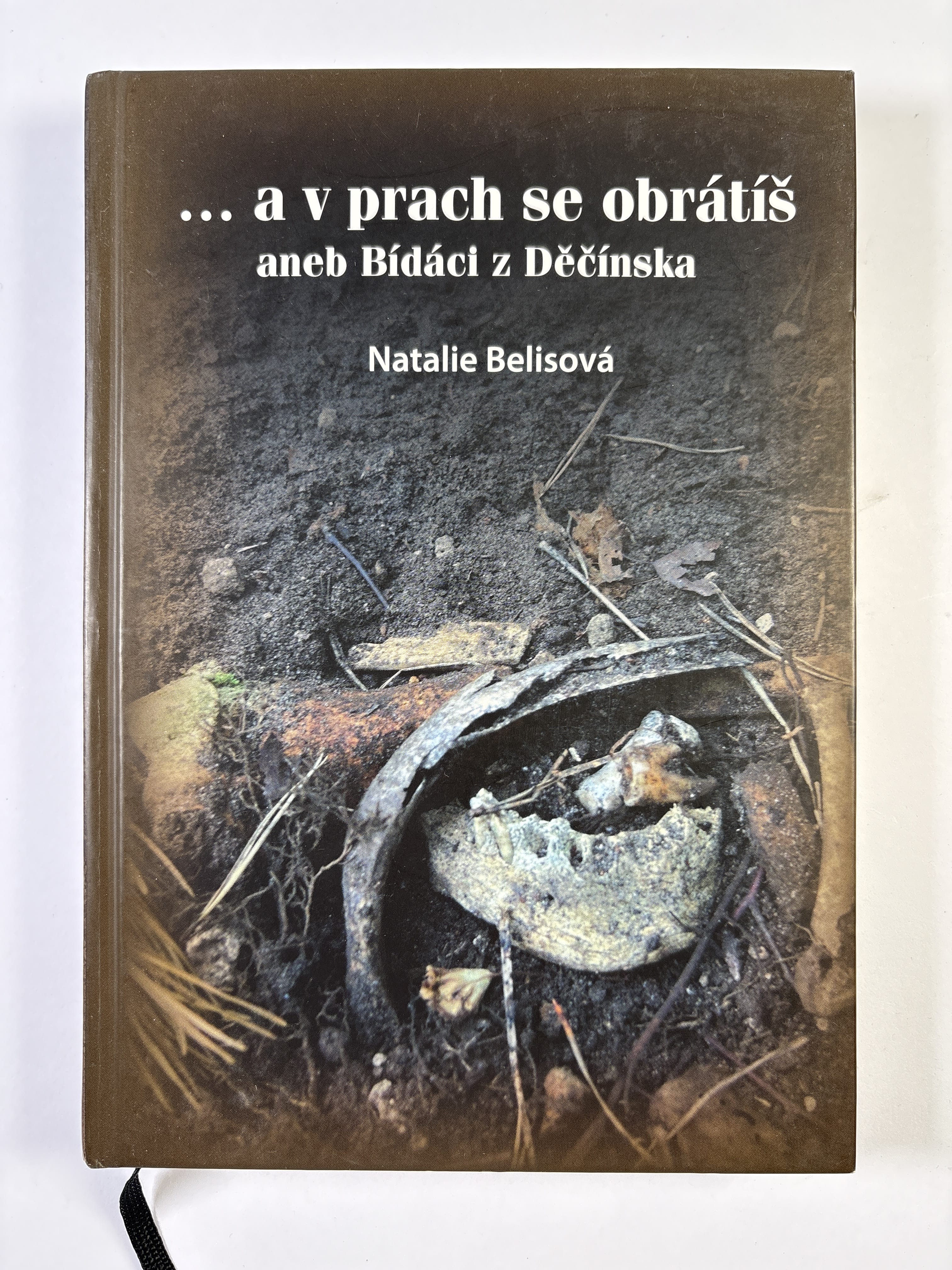 Levně ... a v prach se obrátíš aneb Bídáci z Děčínska