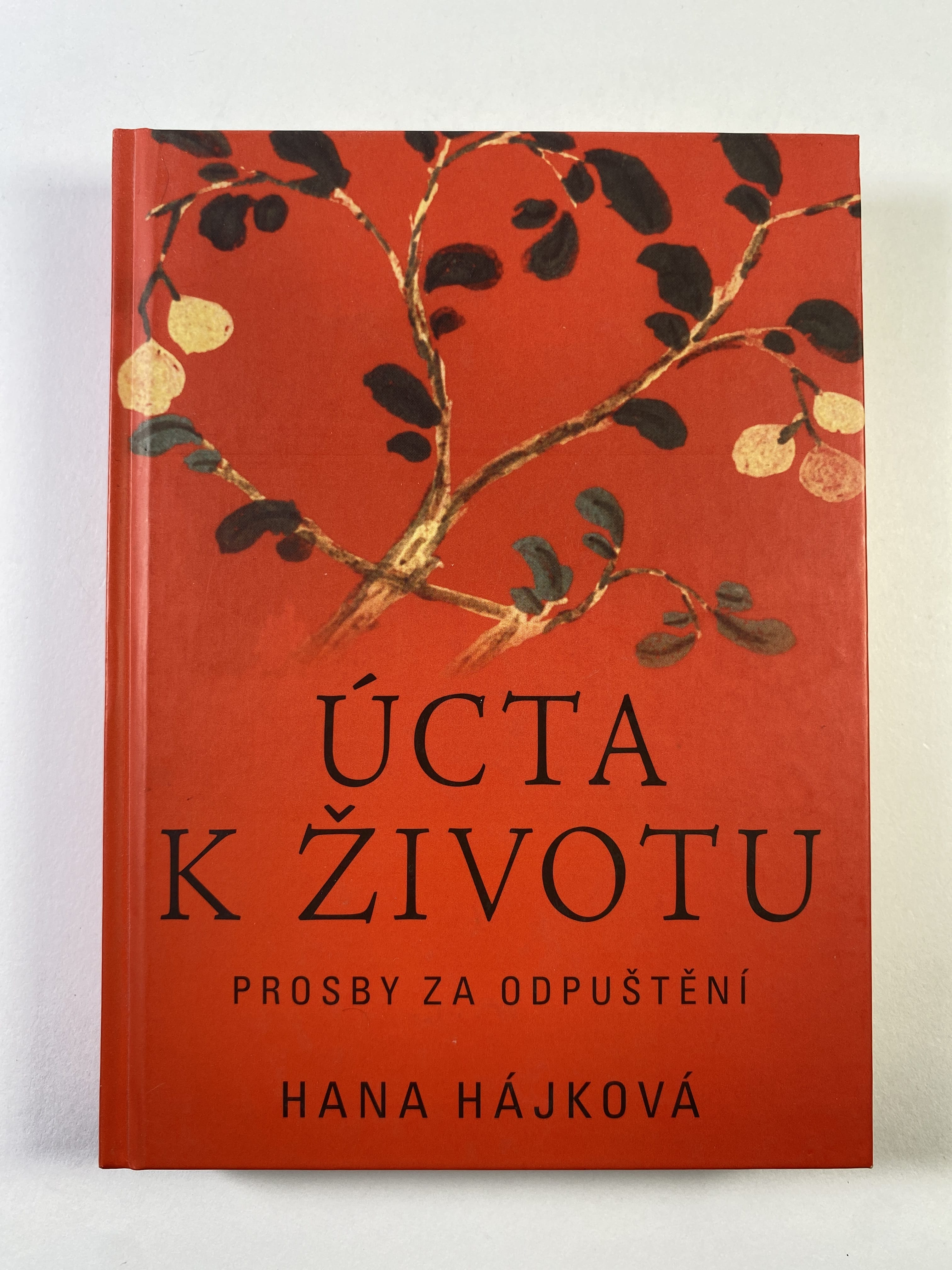 Úcta k životu: prosby za odpuštění