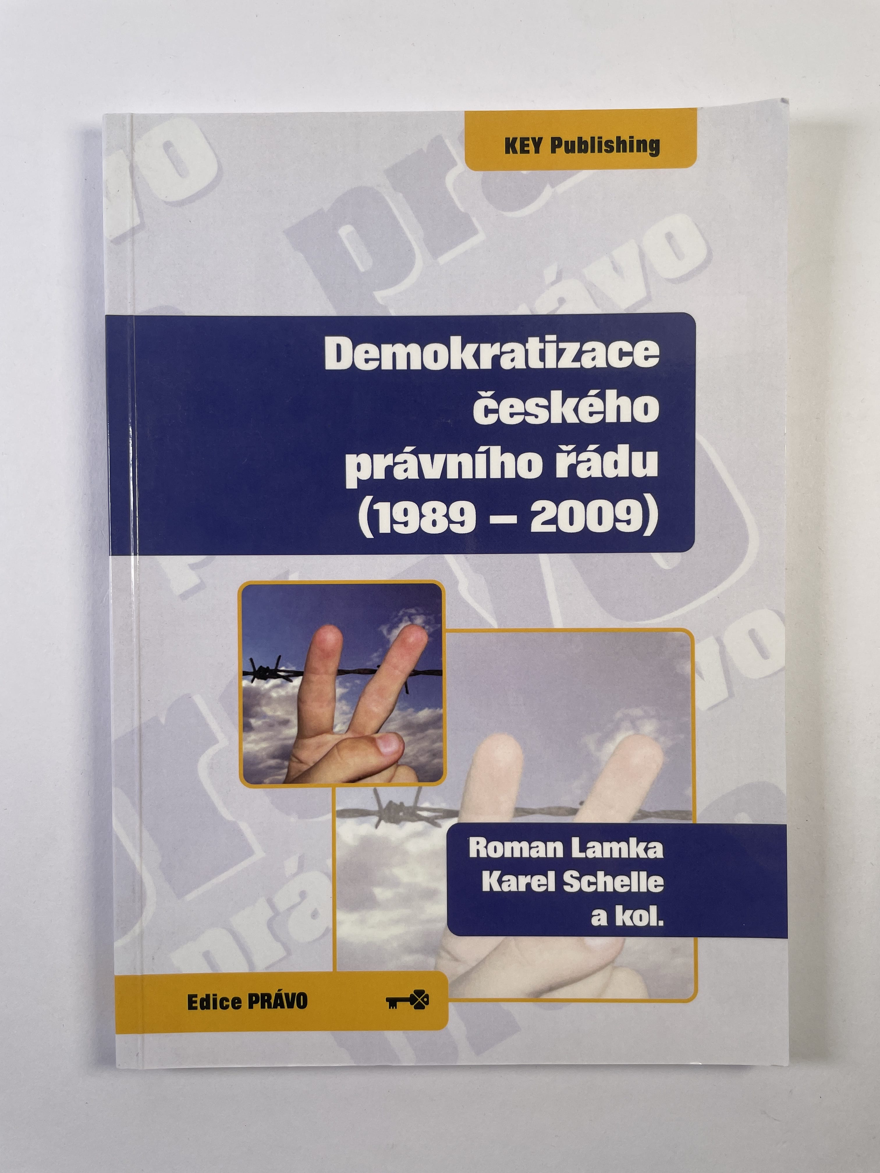 Levně Demokratizace českého právního řádu (1989-2009)