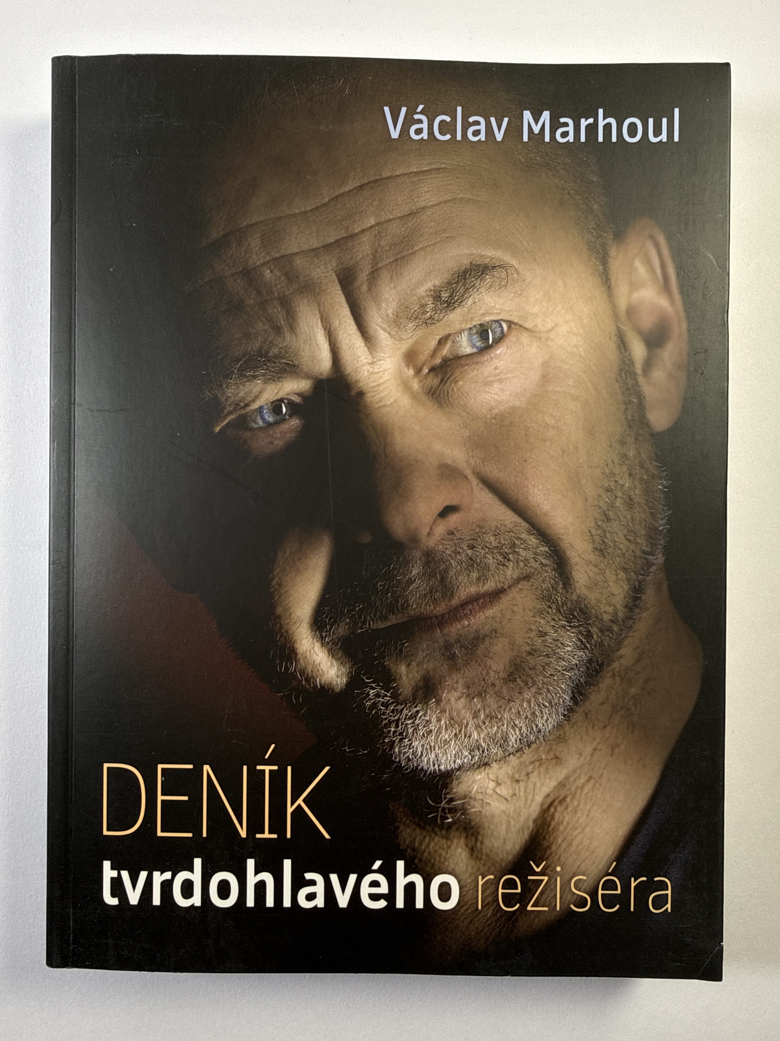 Levně Deník tvrdohlavého režiséra