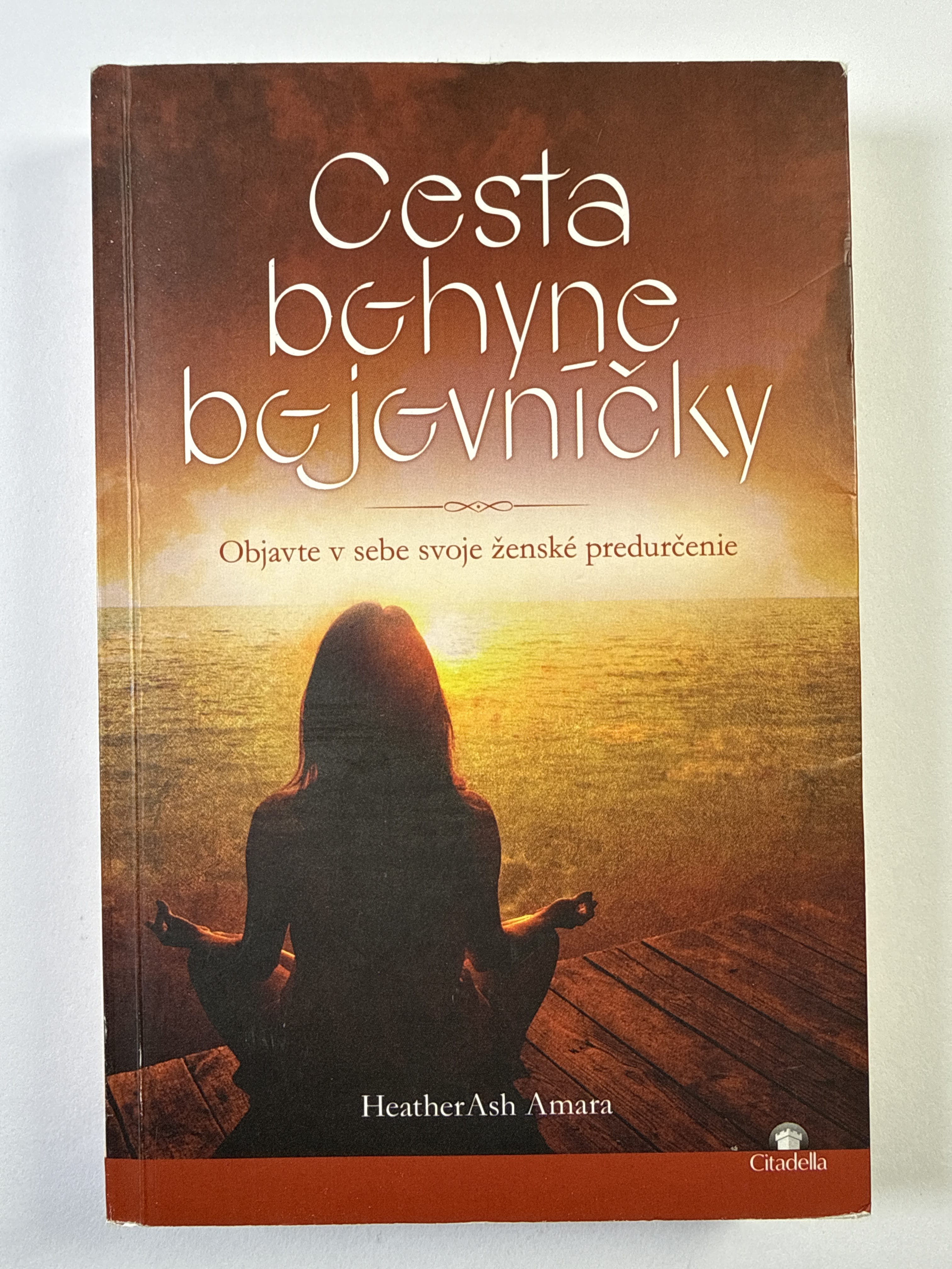 Levně Cesta bohyne bojovníčky