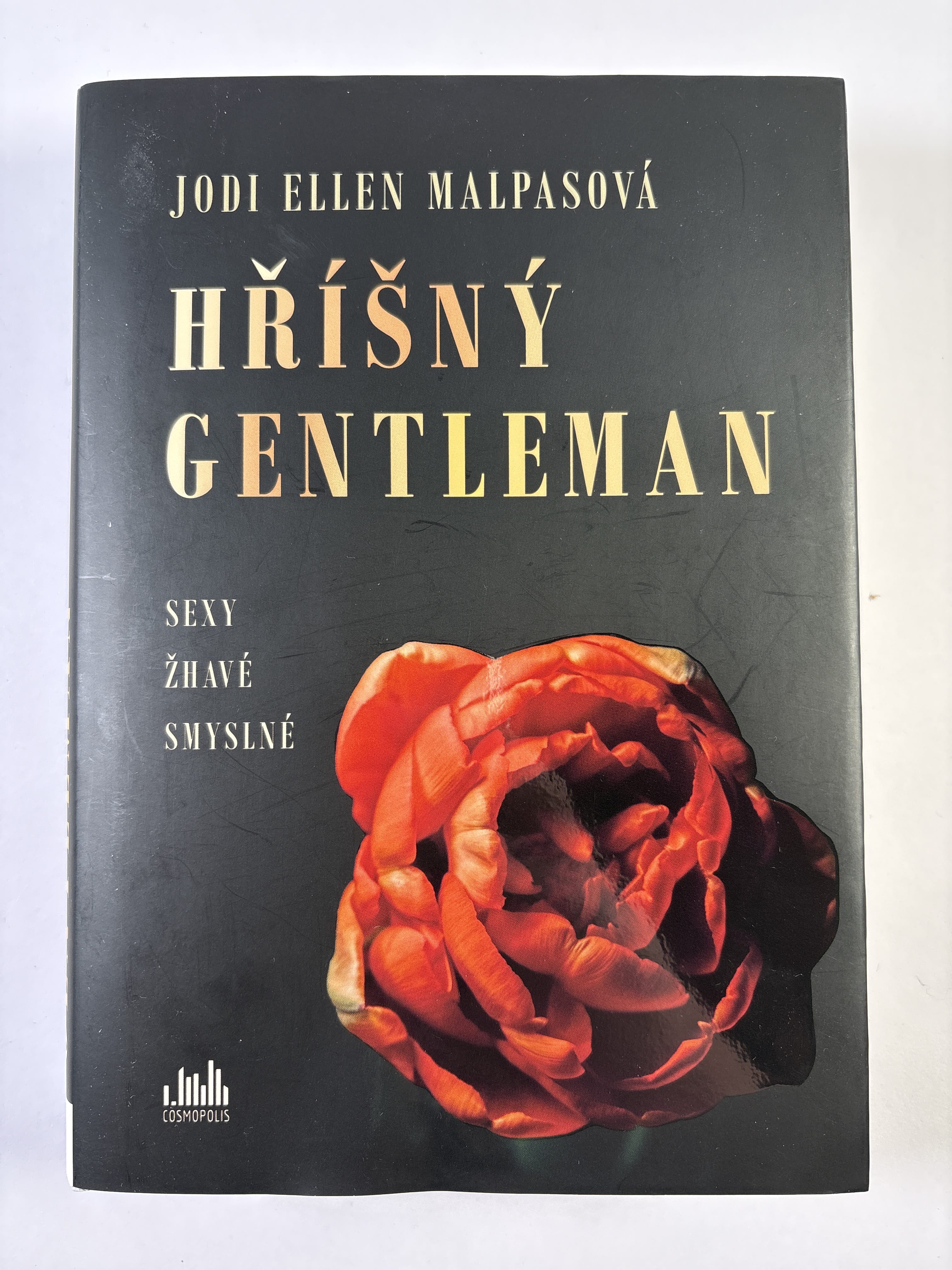 Levně Hříšný gentleman