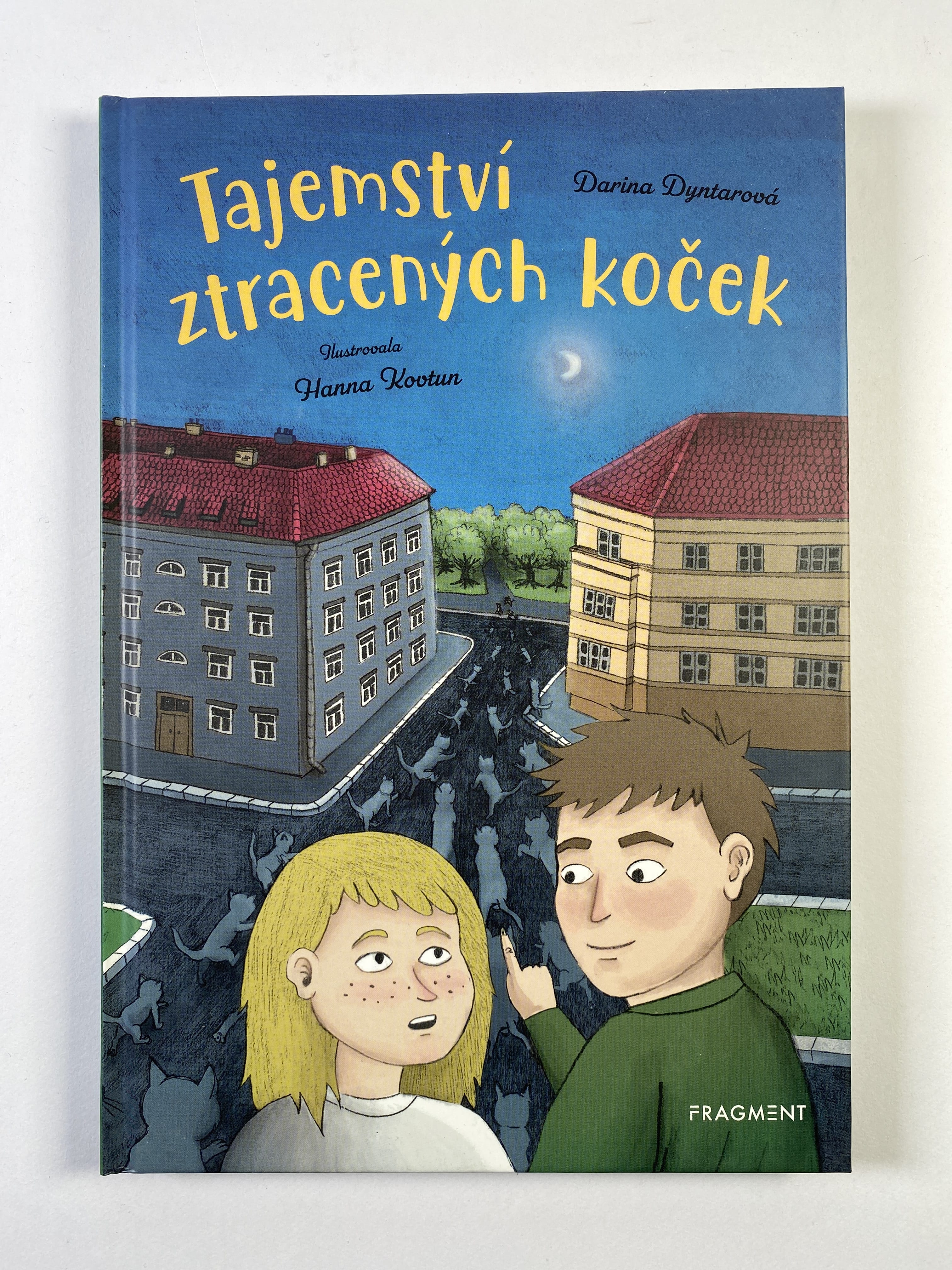 Levně Tajemství ztracených koček