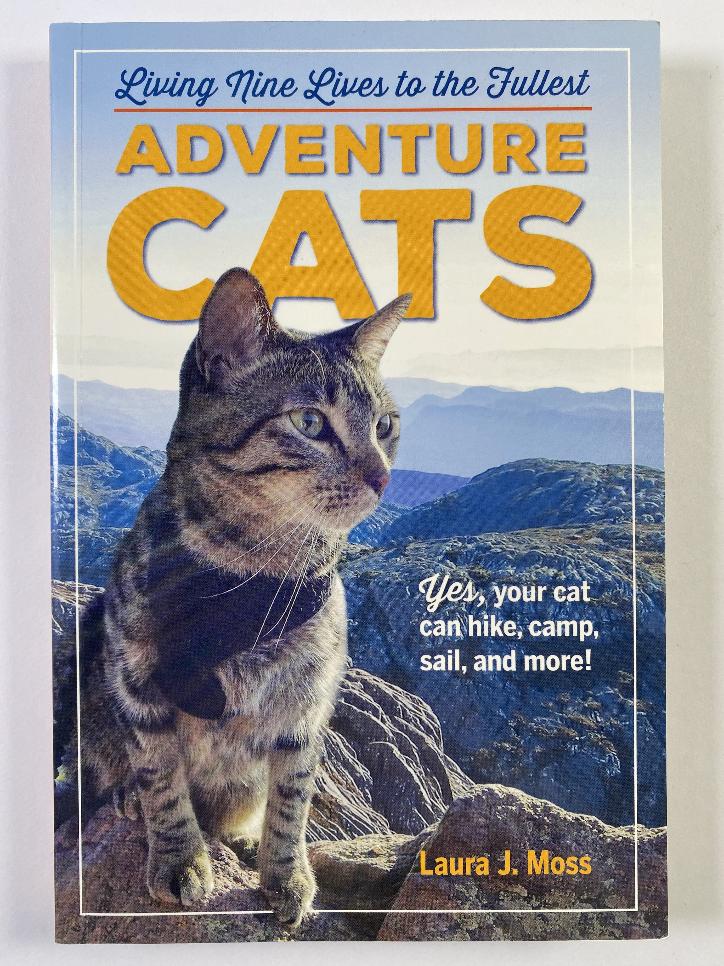 Levně Adventure Cats