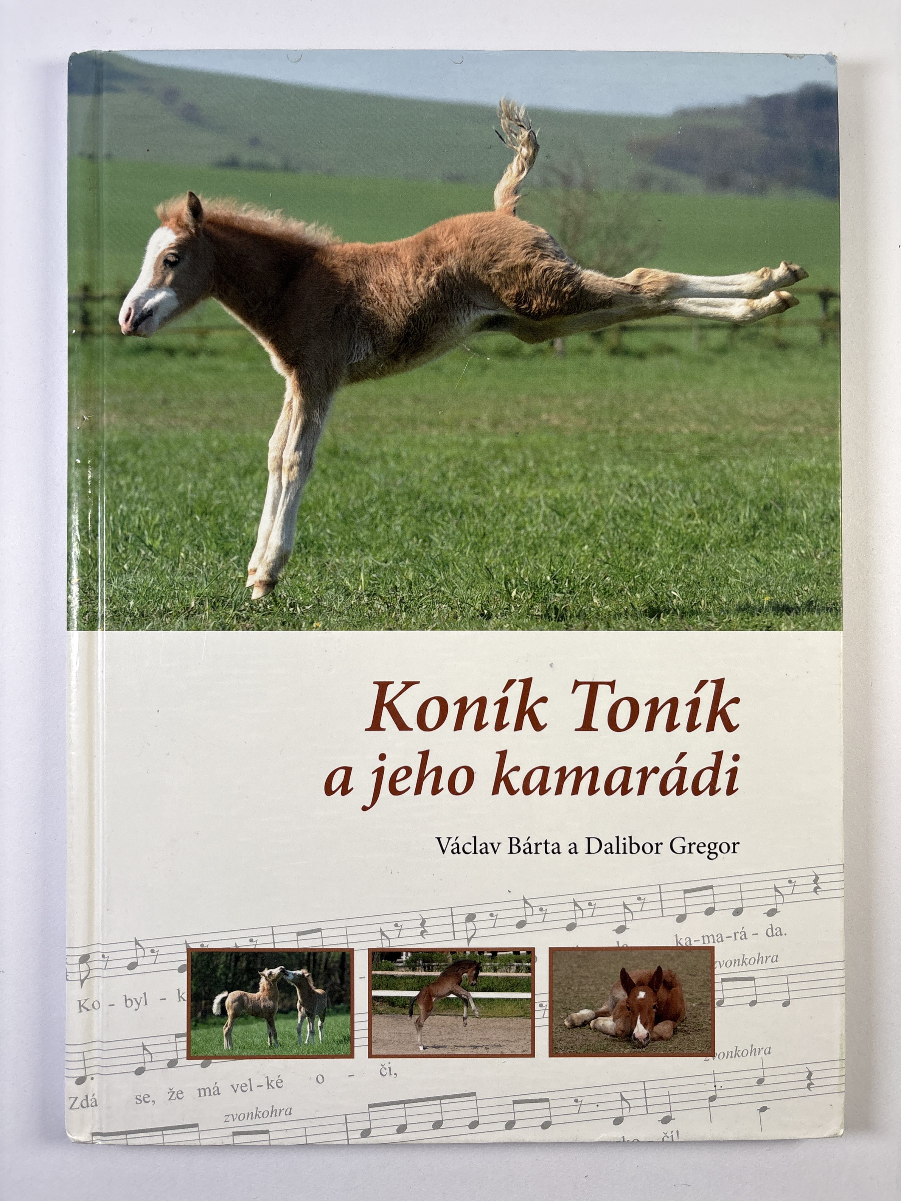 Levně Koník Toník a jeho kamarádi