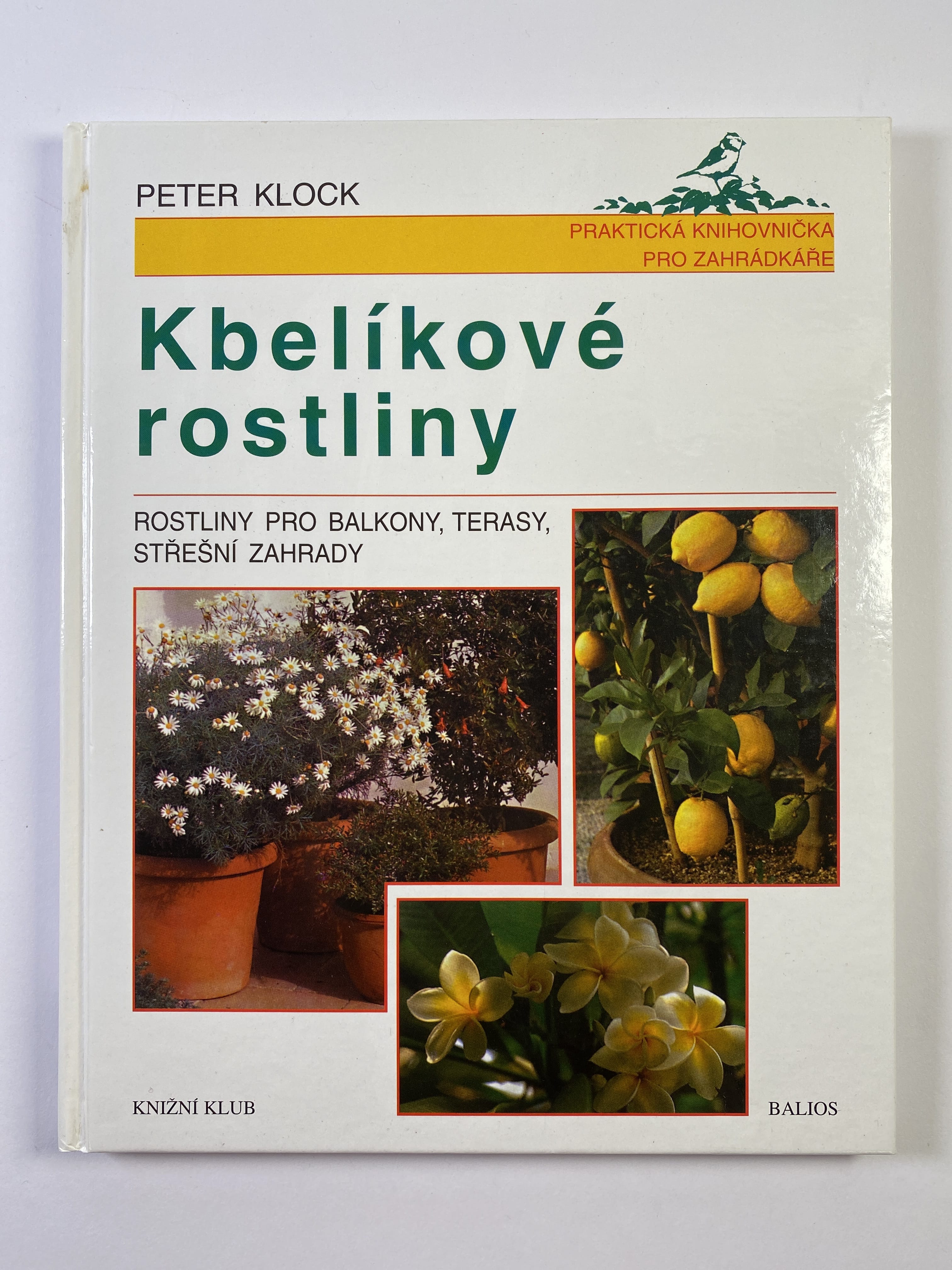 Levně Kbelíkové rostliny: rostliny pro balkony, terasy, střešní zahrady