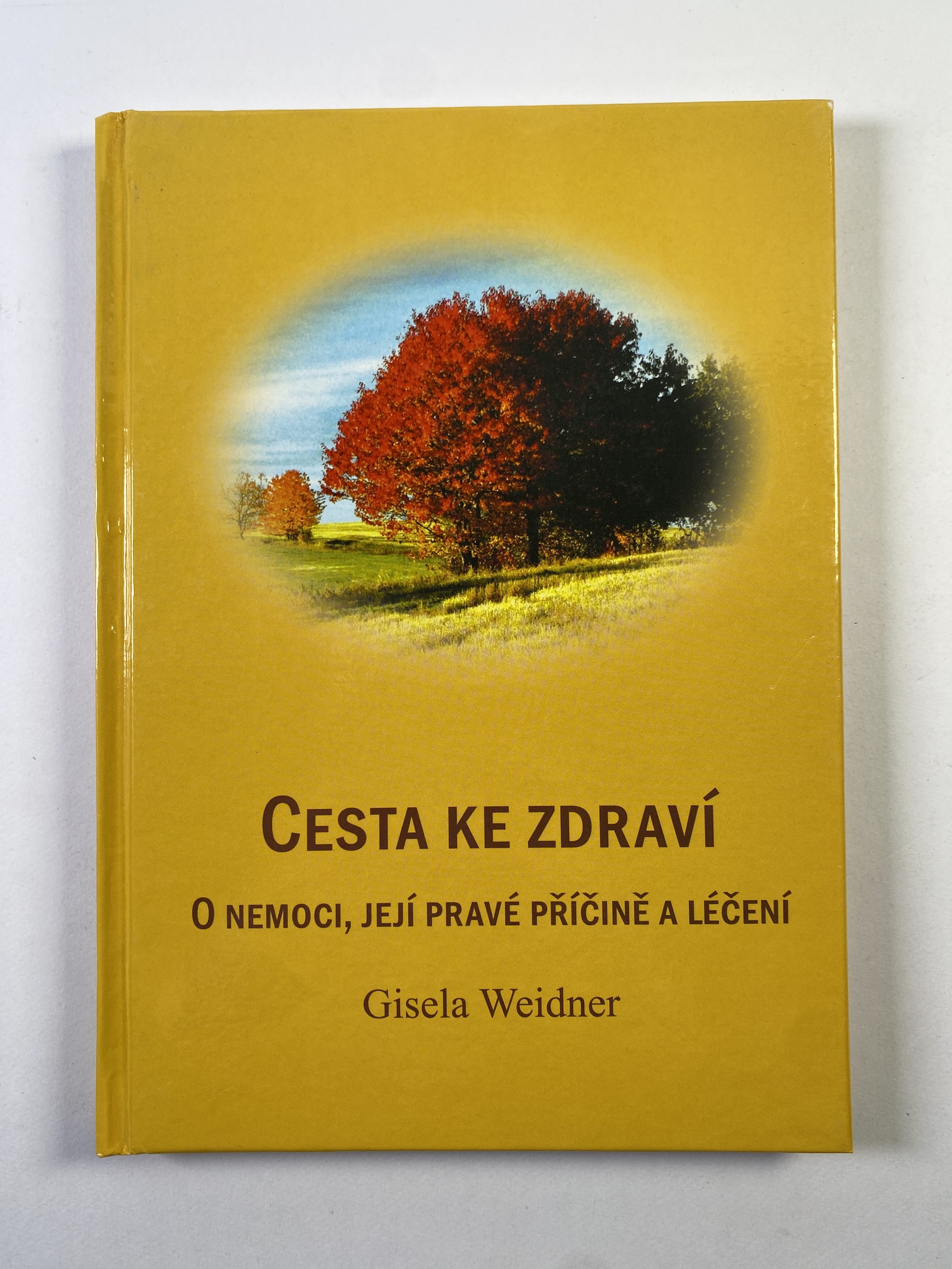 Cesta ke zdraví