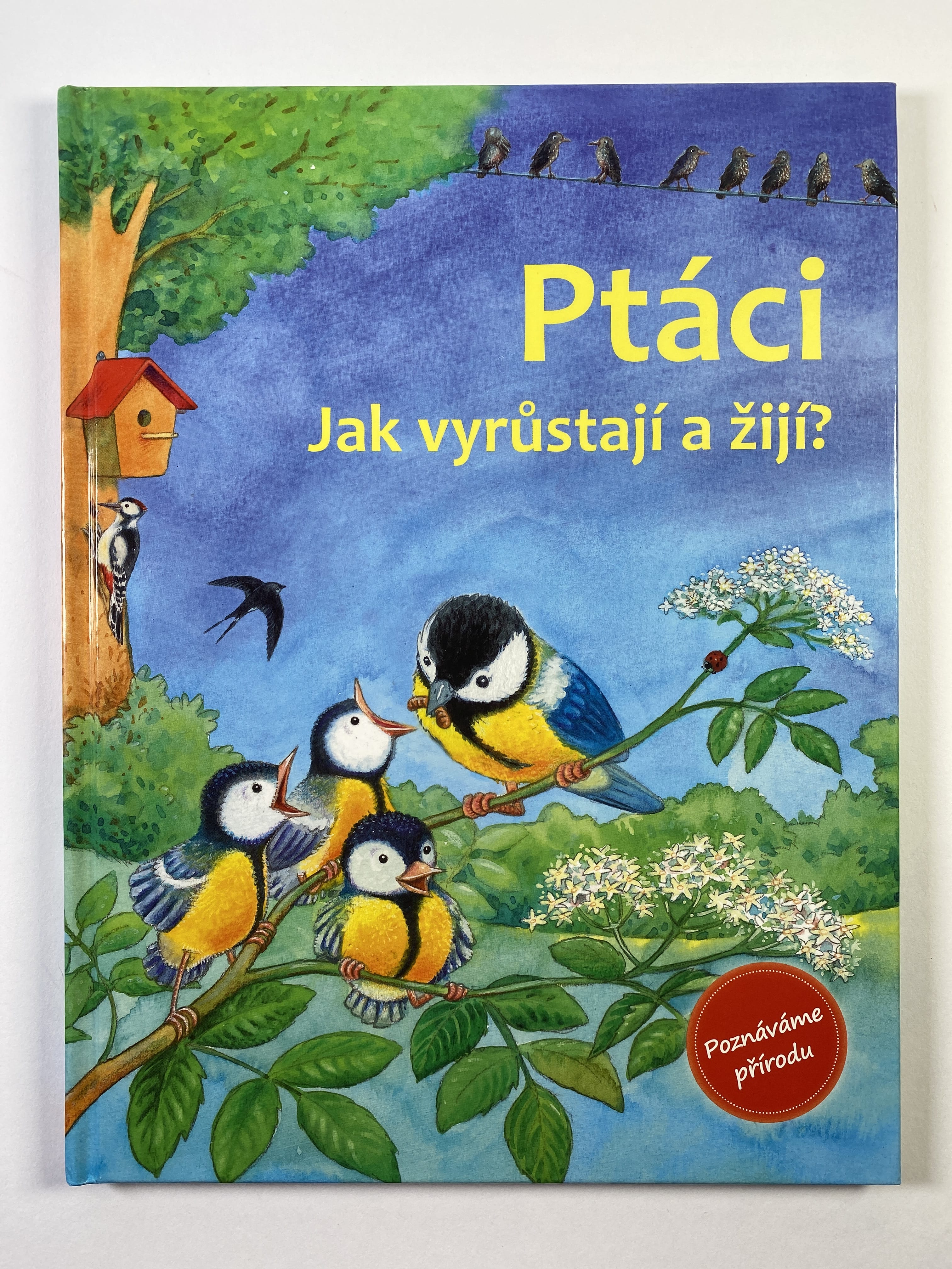 Levně Ptáci: Jak vyrůstají a žijí?