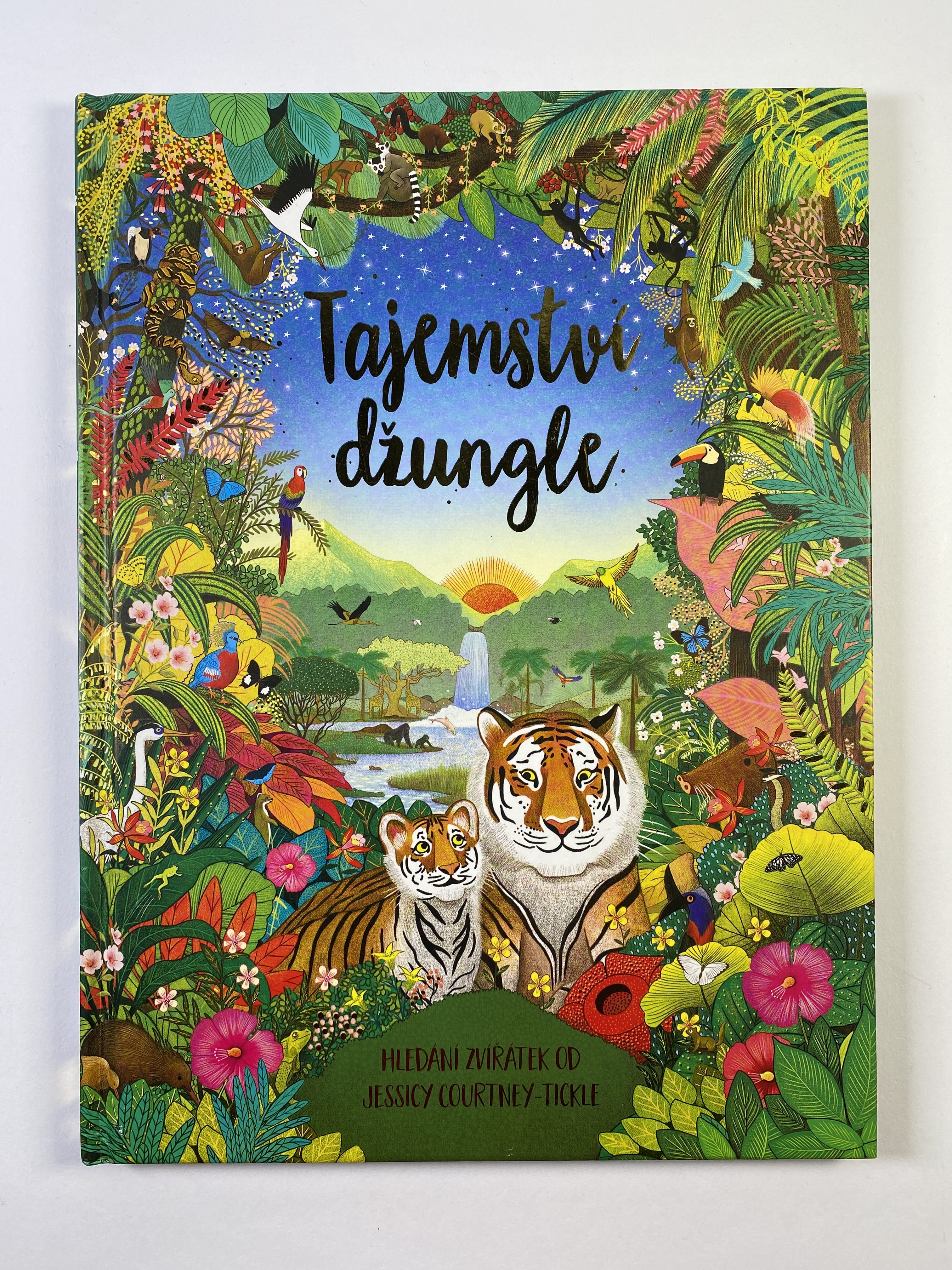 Levně Tajemství džungle