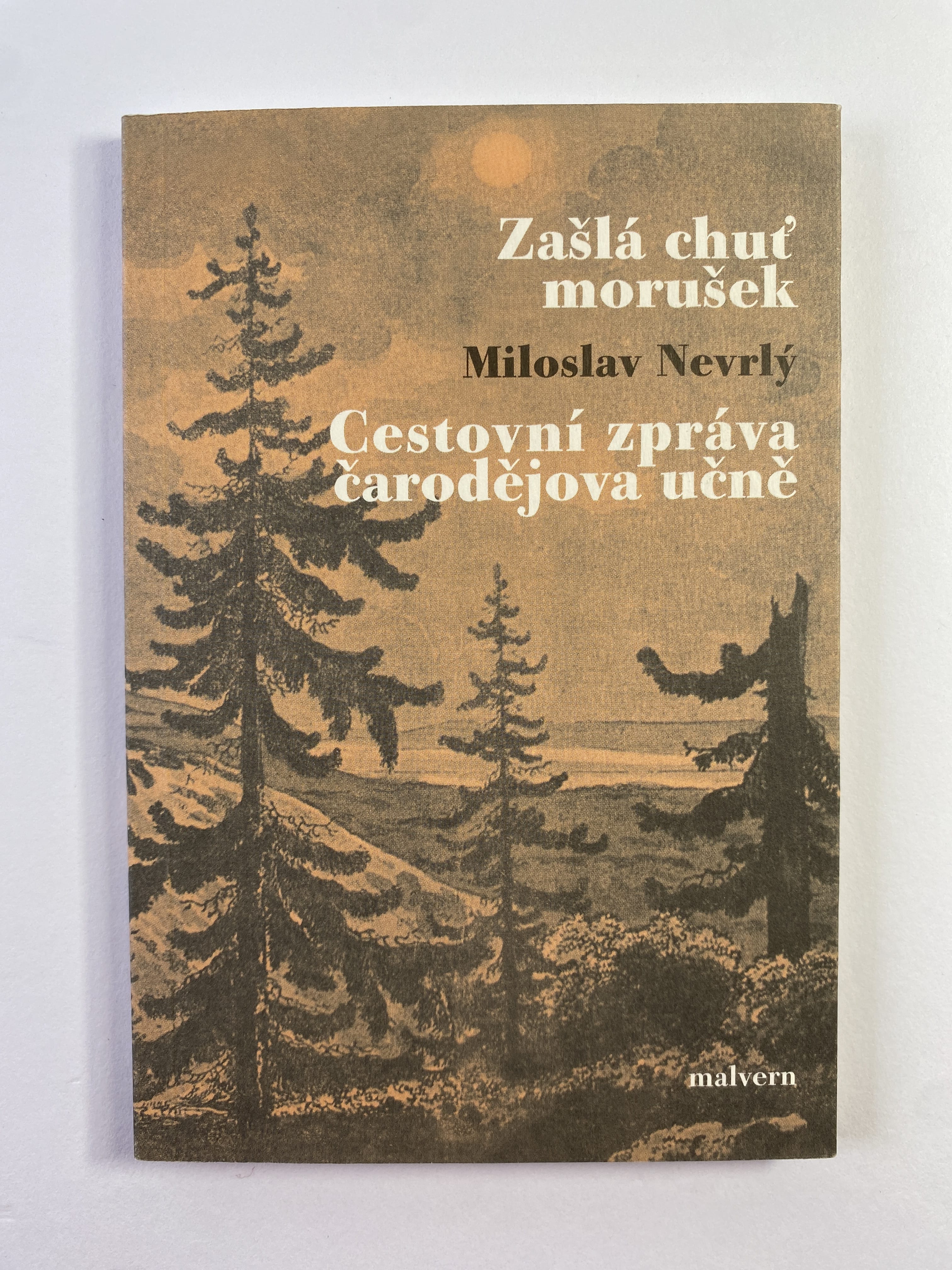 Levně Zašlá chuť morušek / Cestovní zpráva čarodějova učně