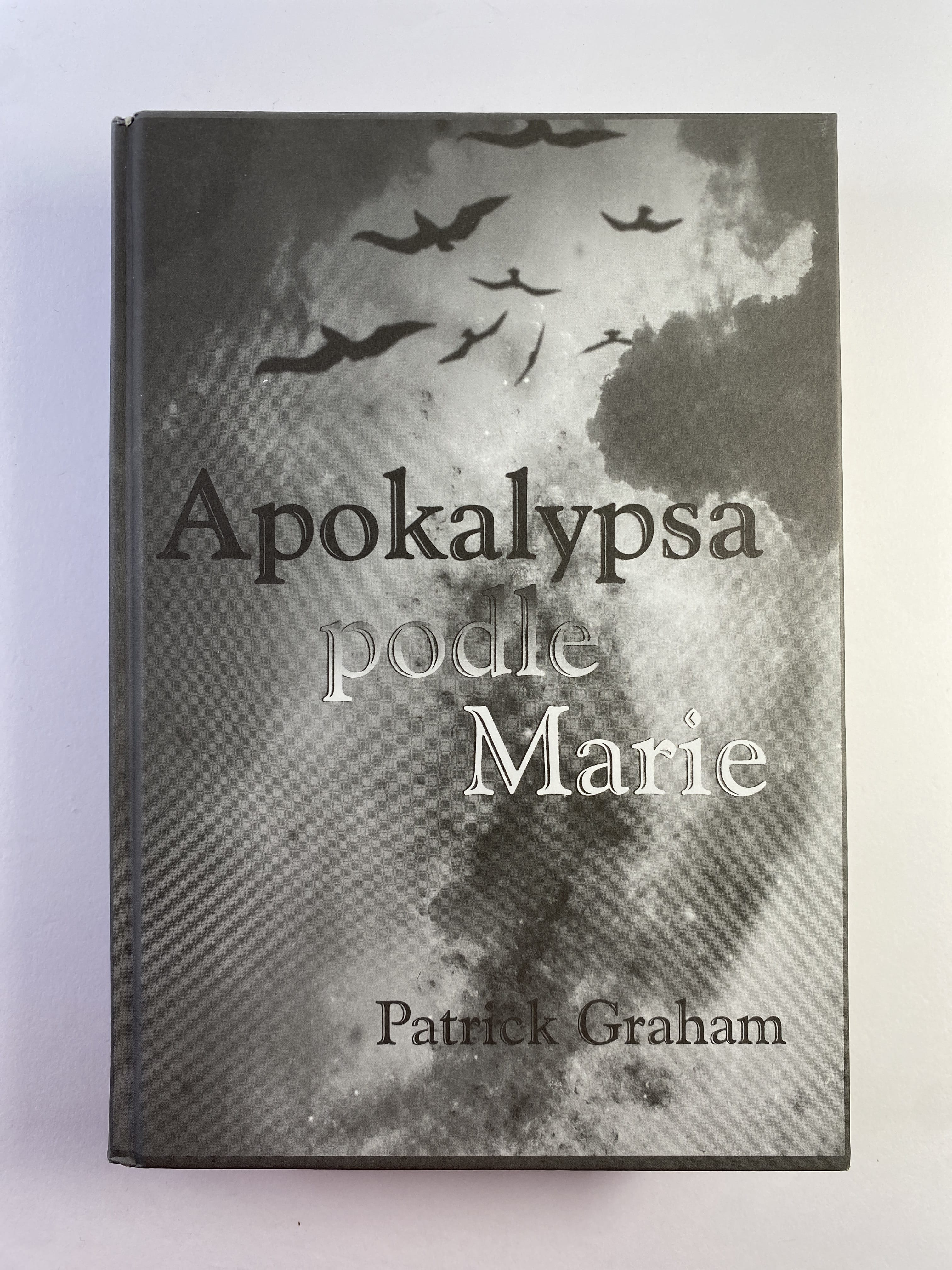 Levně Apokalypsa podle Marie Pevná (2008, bez obalu)