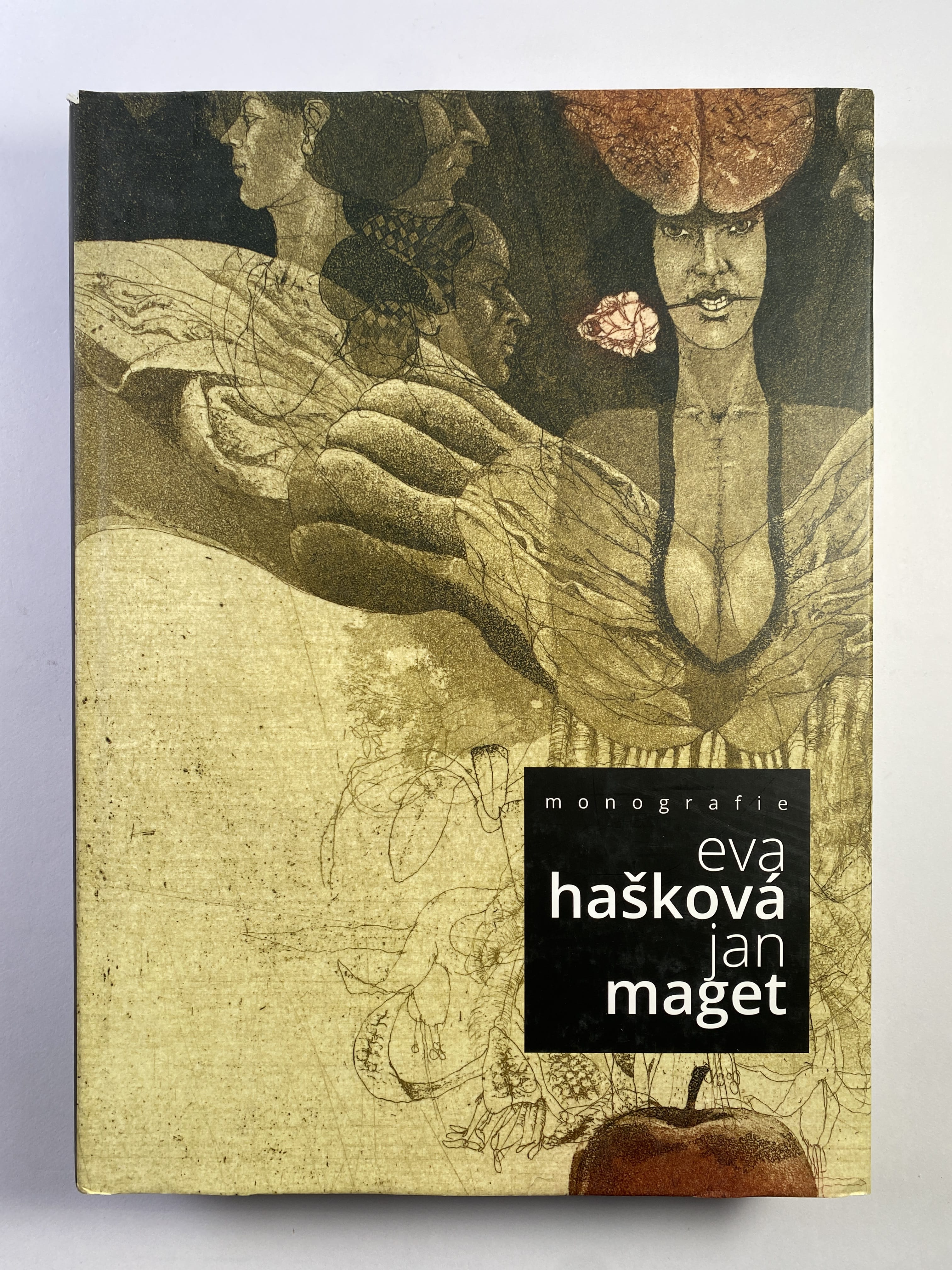 Levně Monografie Evy Haškové a Jana Mageta