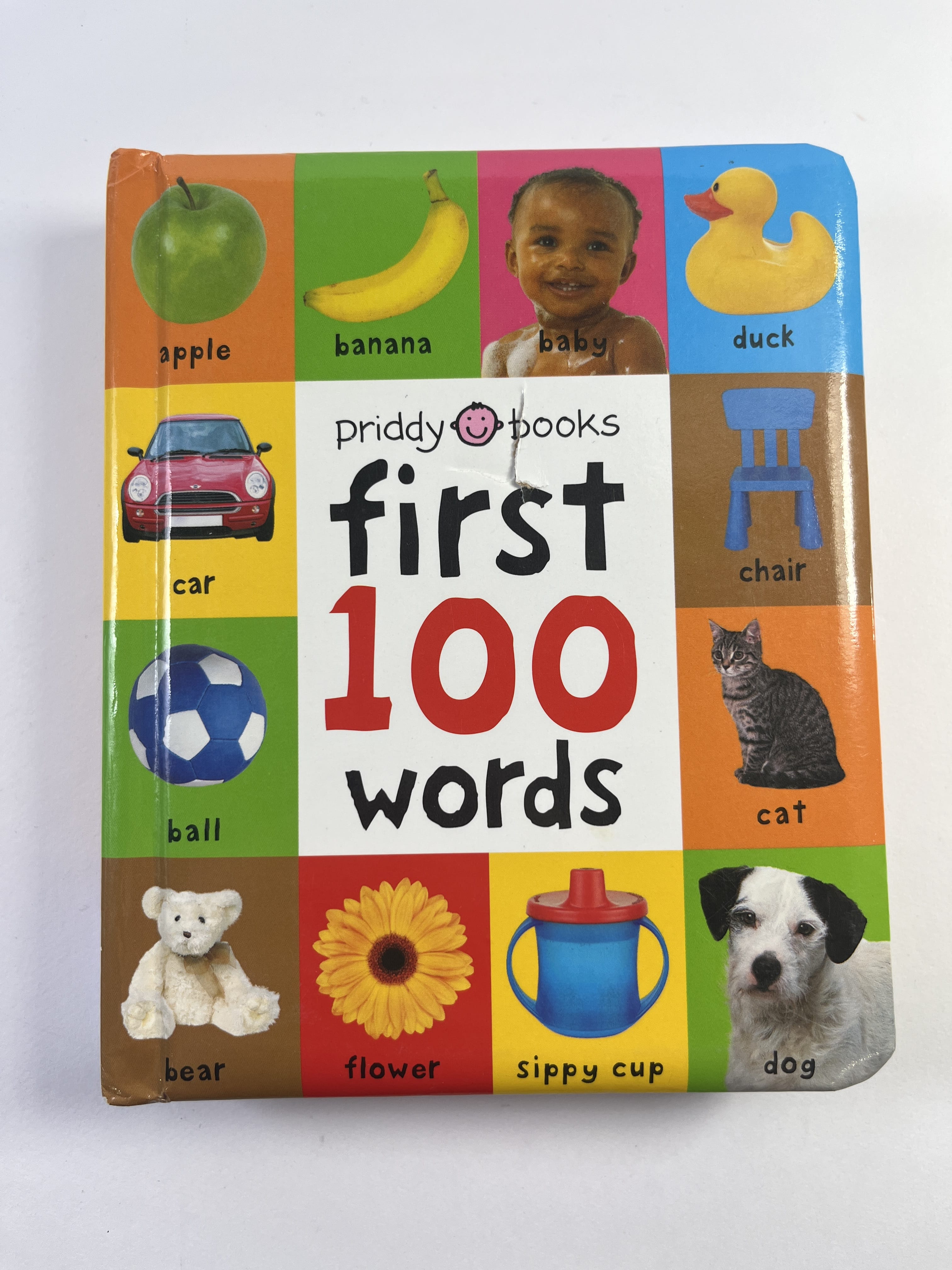 Levně First 100 Words