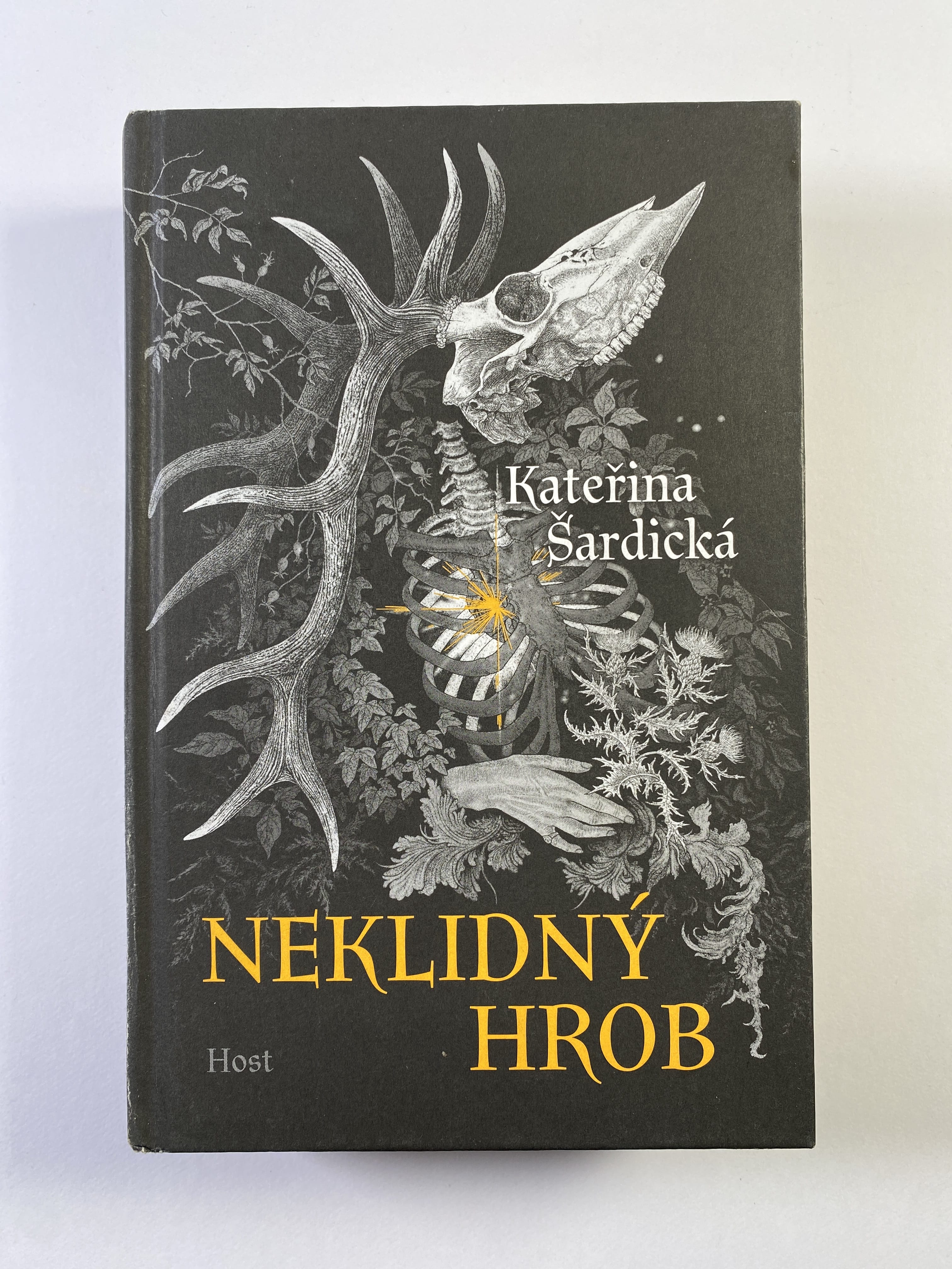 Neklidný hrob (Bez obalu)