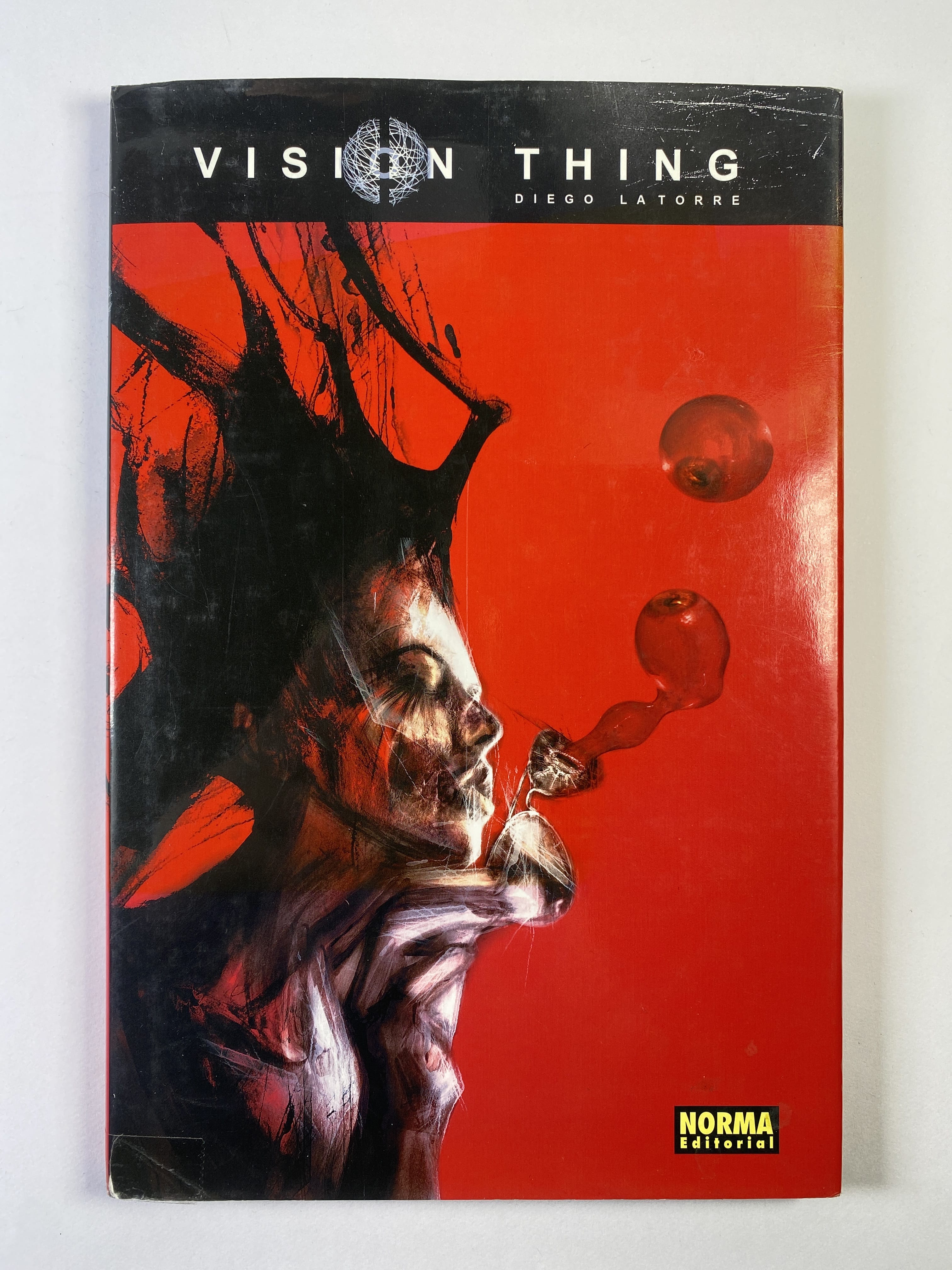 Levně Vision Thing