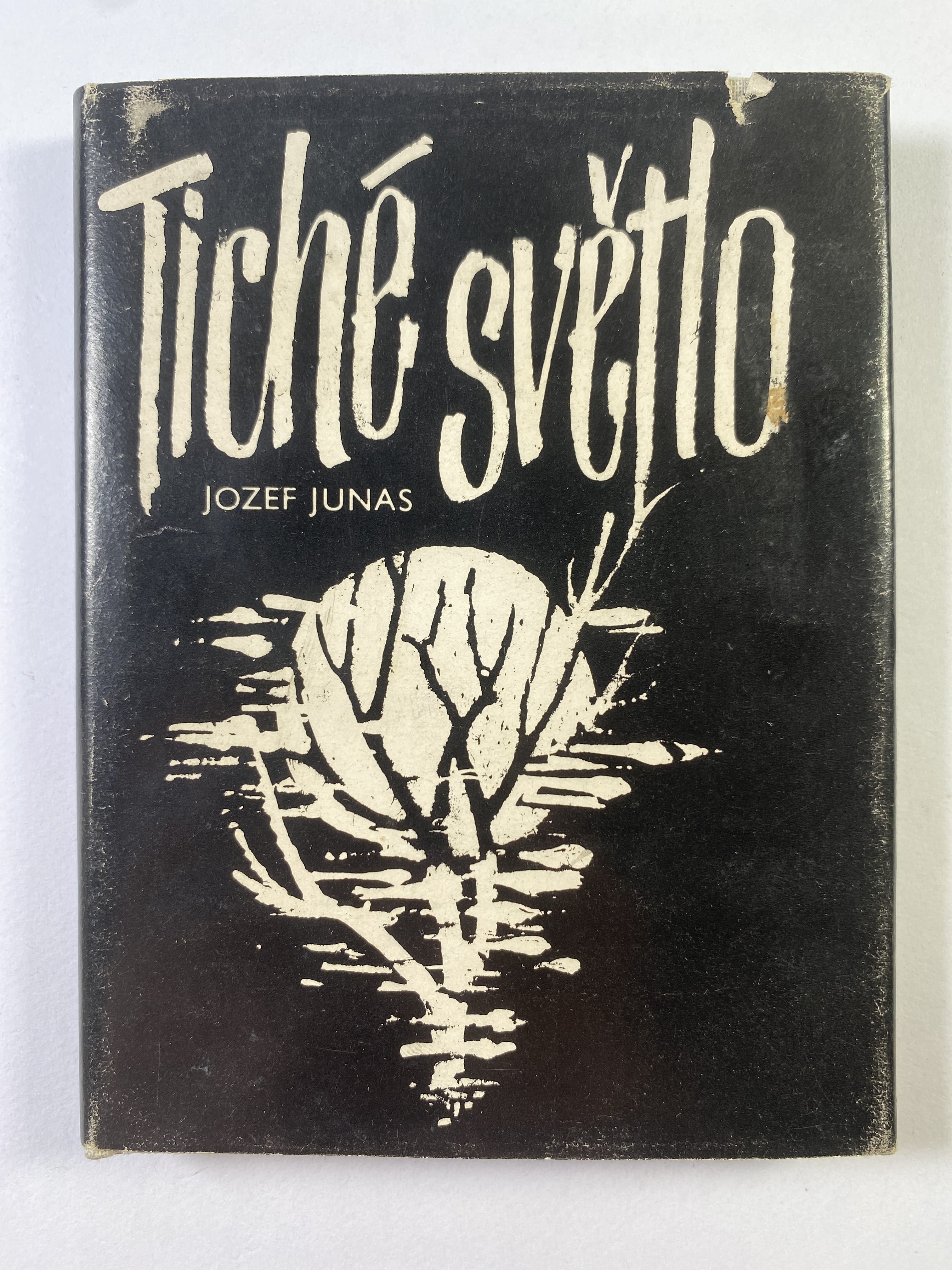 Levně Tiché světlo