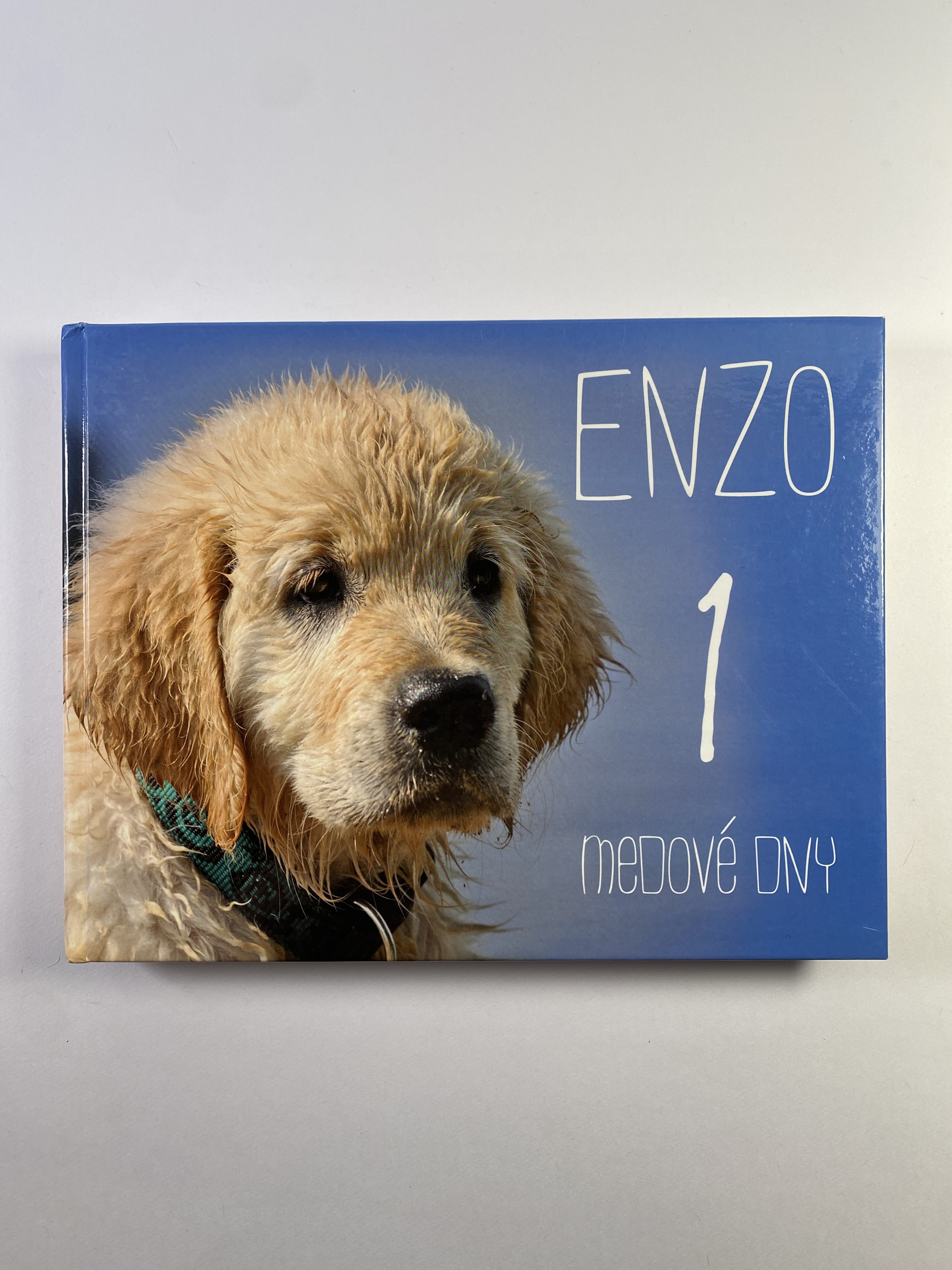 Enzo - Medové dny: Deník moderního psa (1)