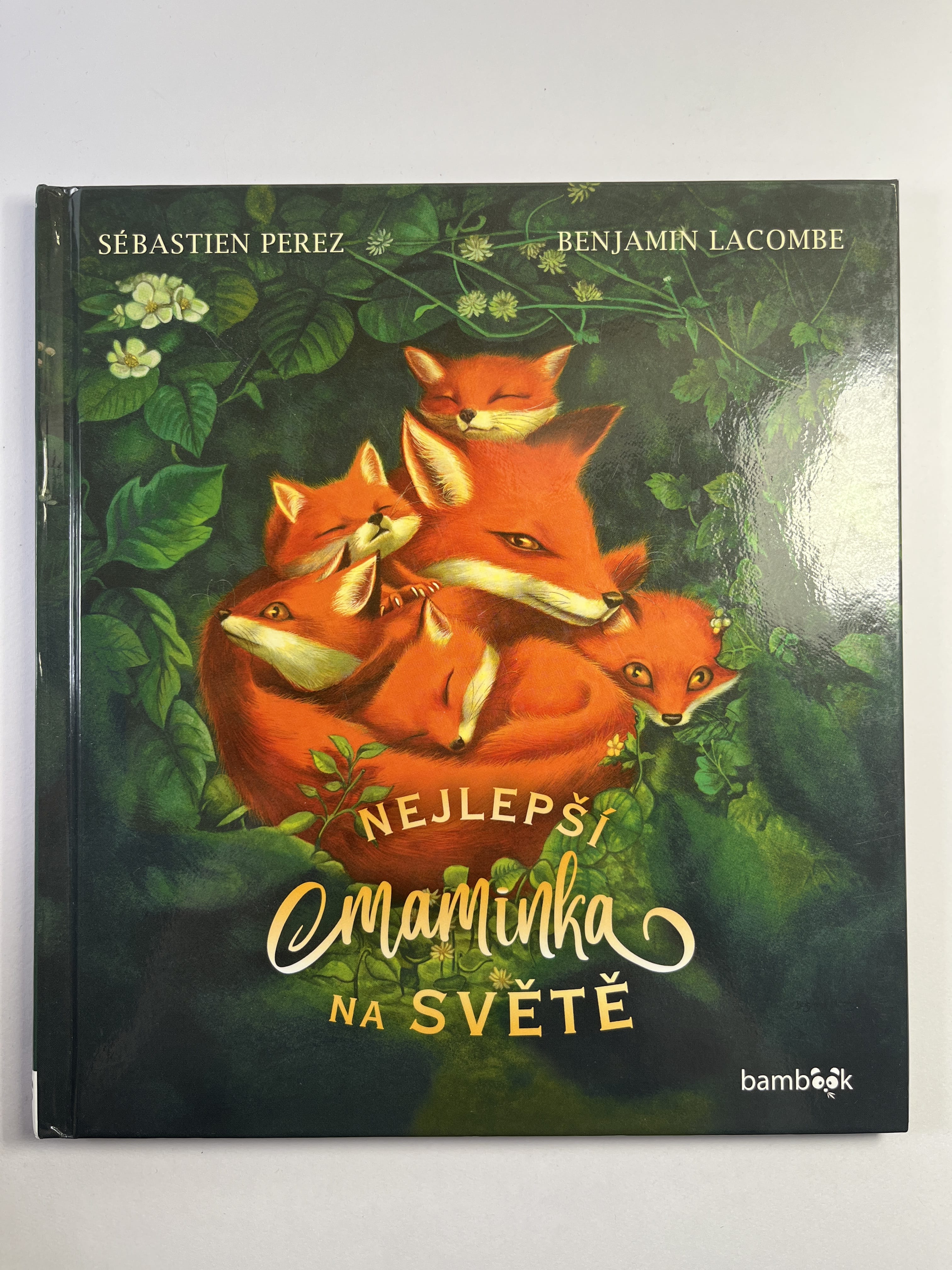 Nejlepší maminka na světě