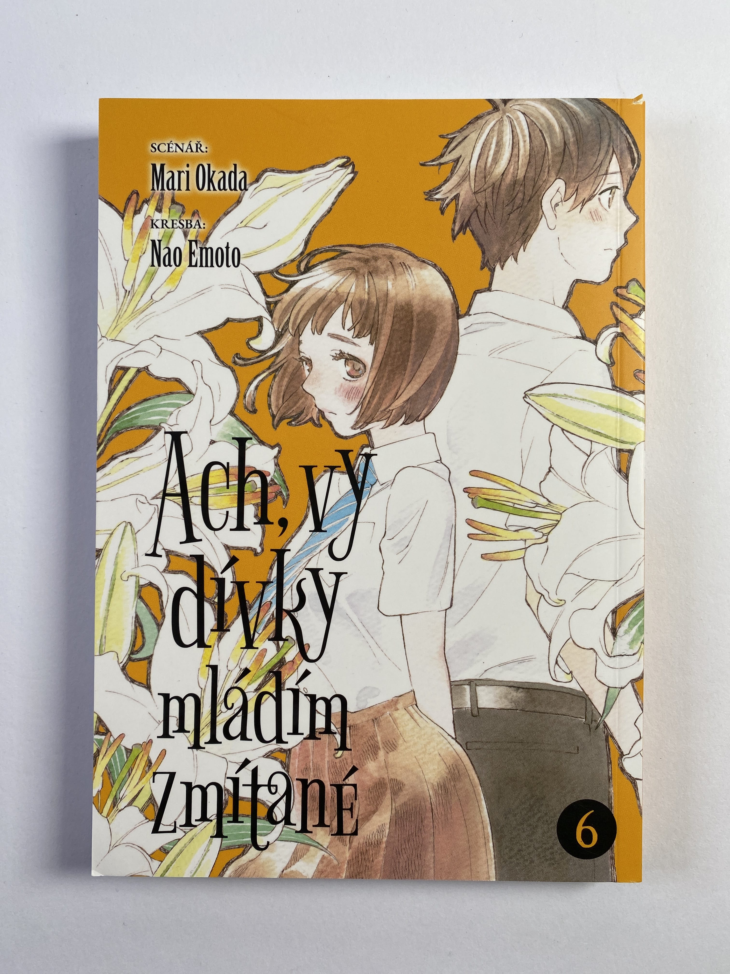 Levně Ach, vy dívky mládím zmítané 6