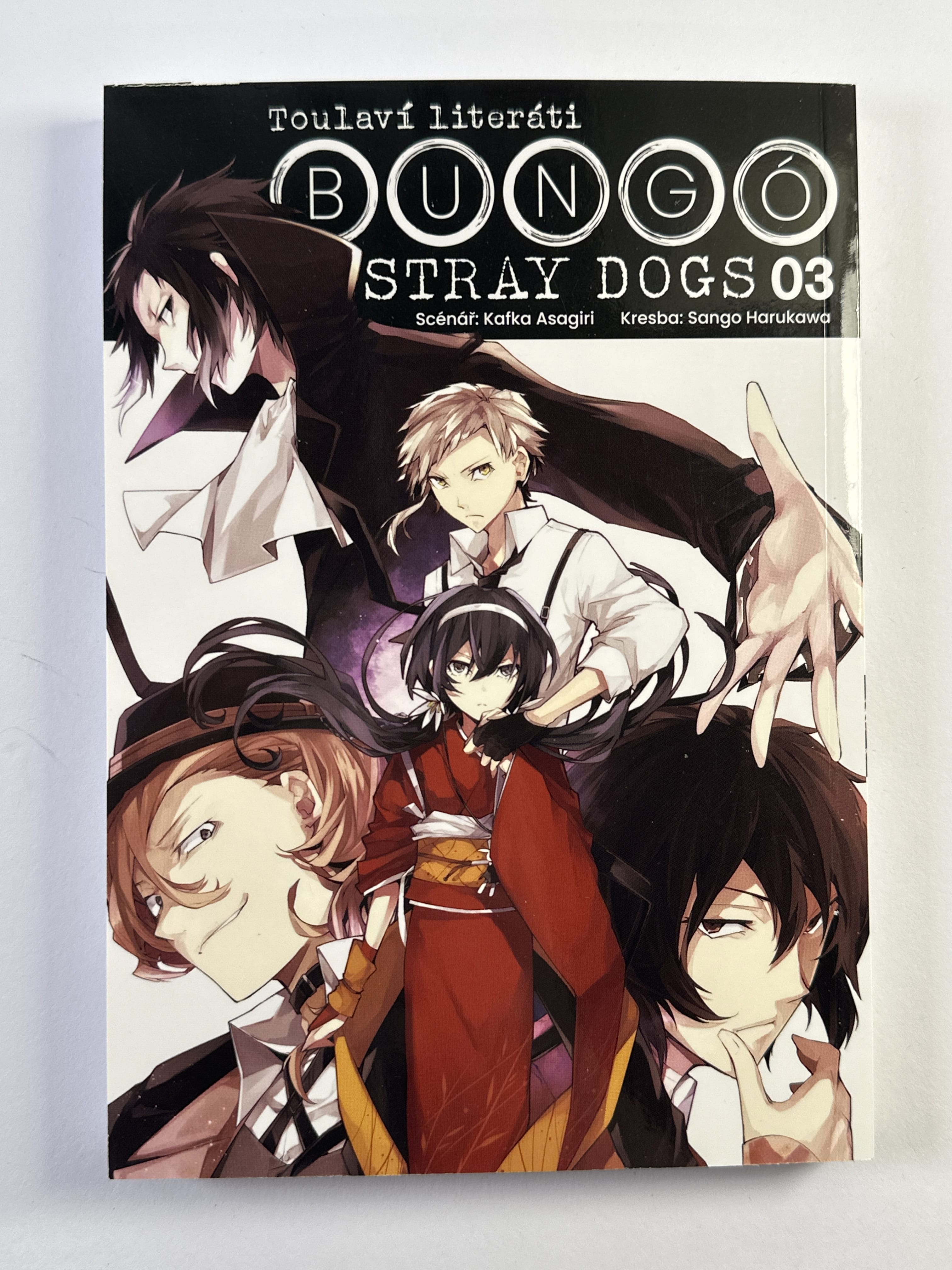 Bungo Stray Dogs (3)