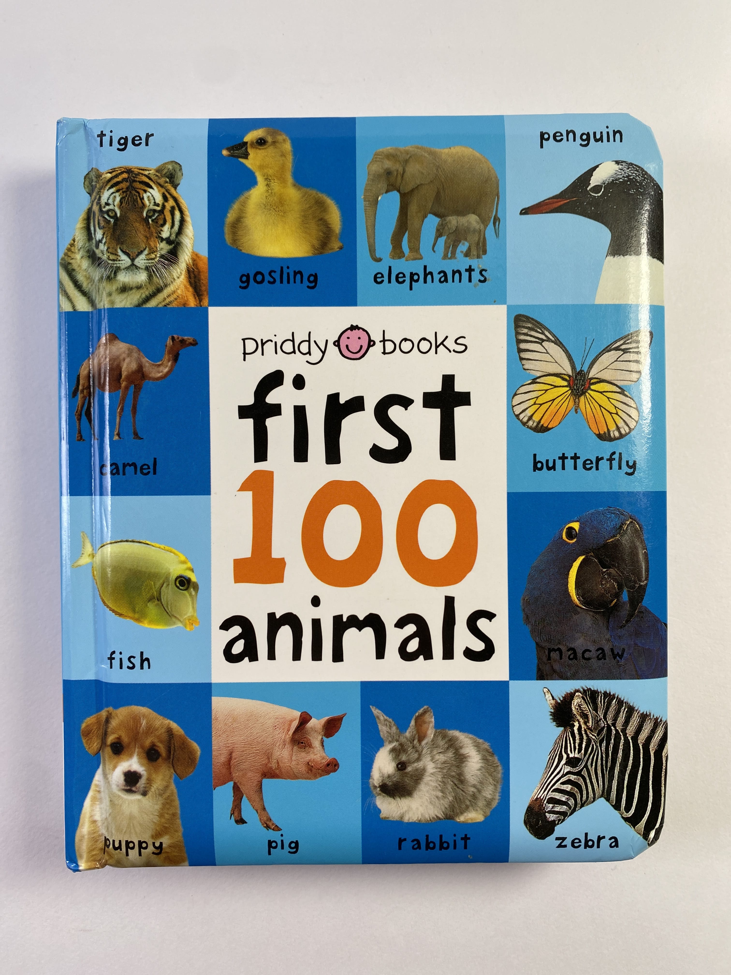 Levně First 100 Animals