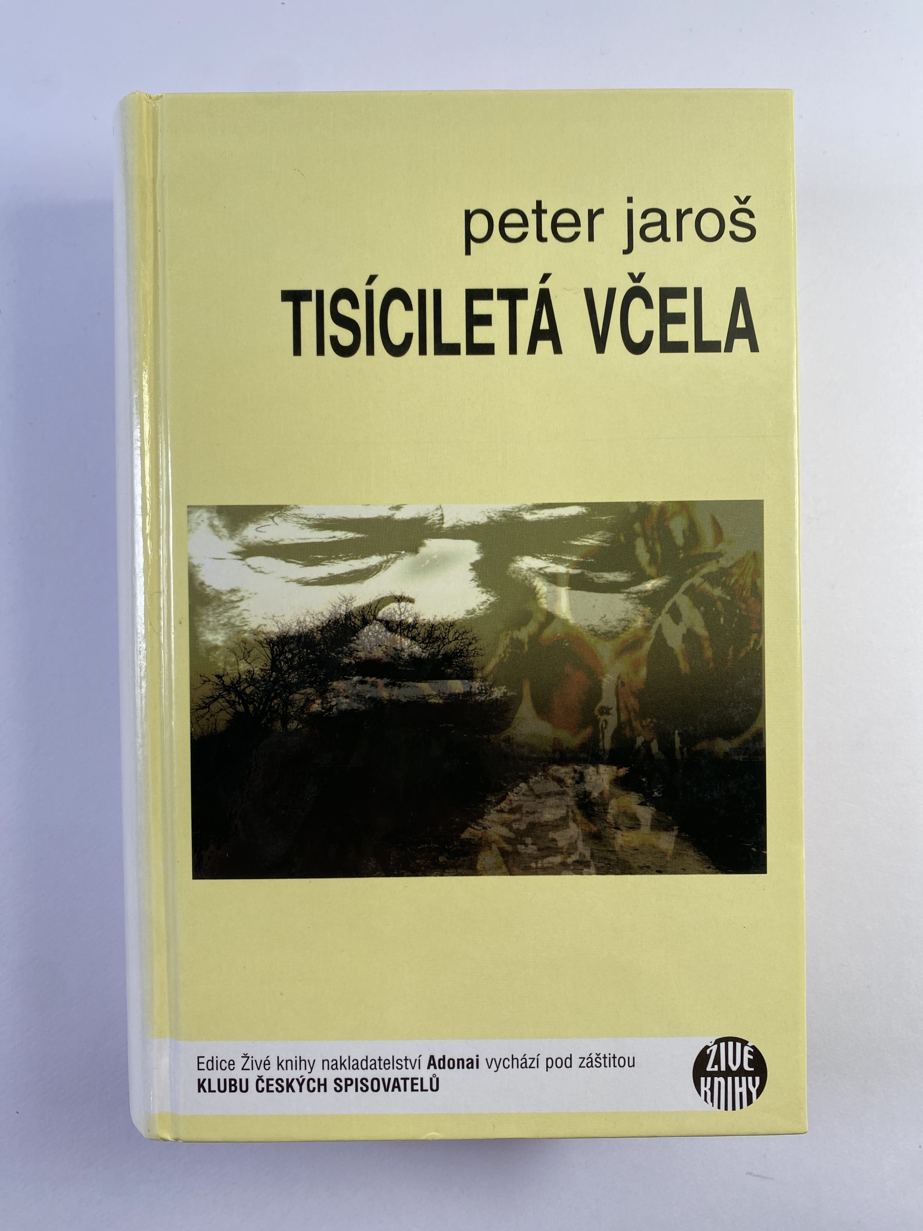 Levně Tisíciletá včela