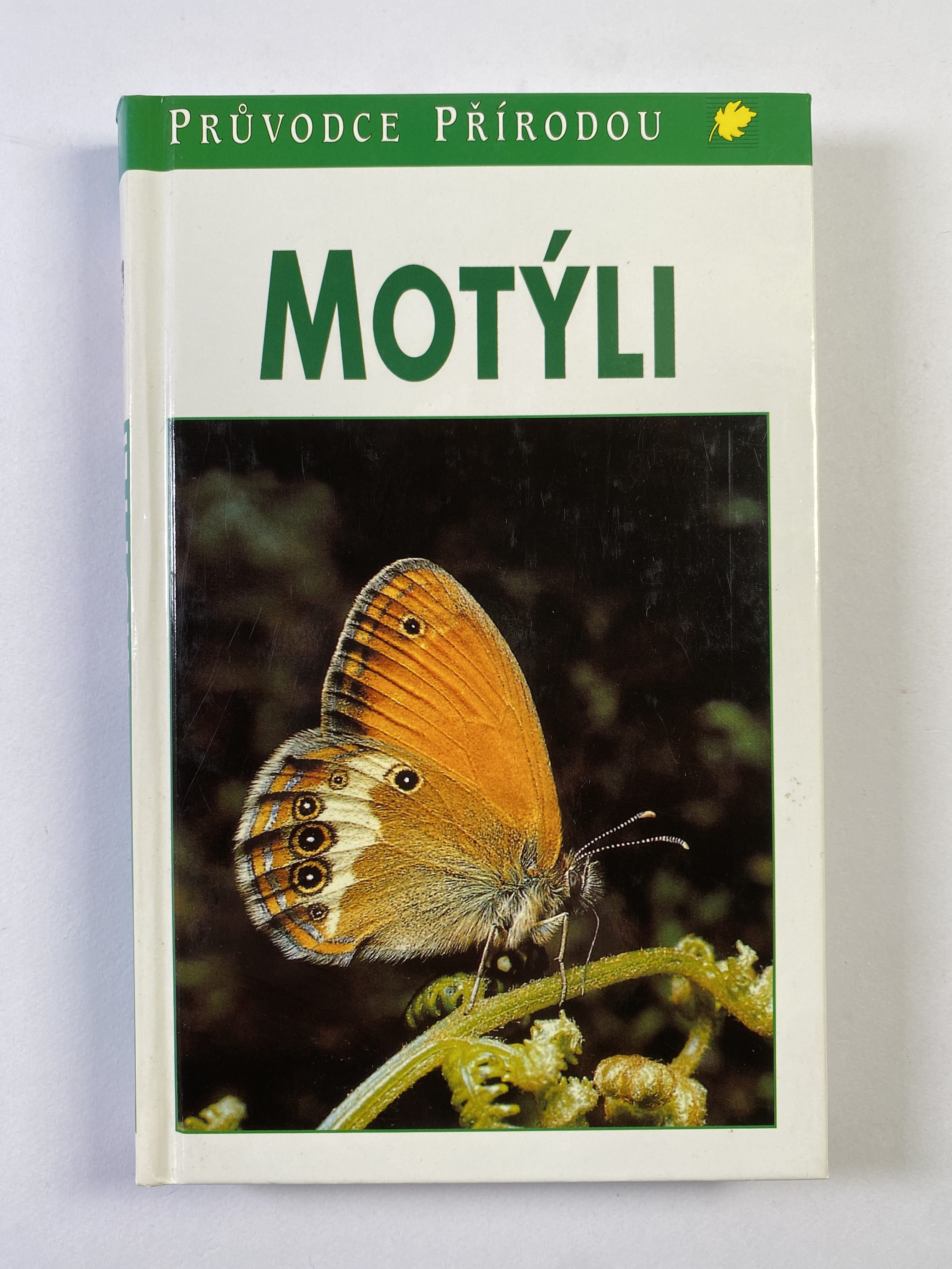 Levně Motýli Pevná (1996)