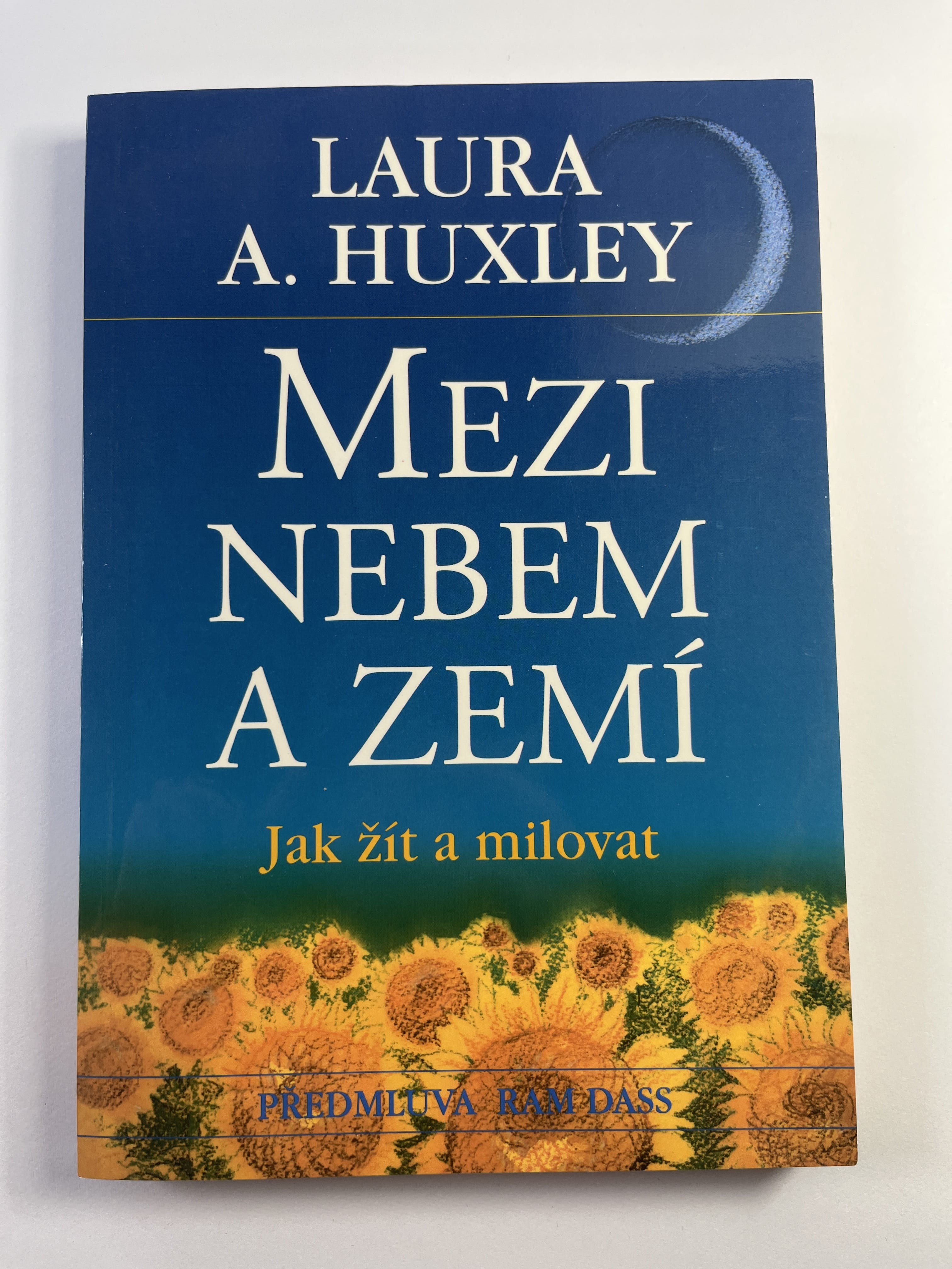 Mezi nebem a zemí: jak žít a milovat